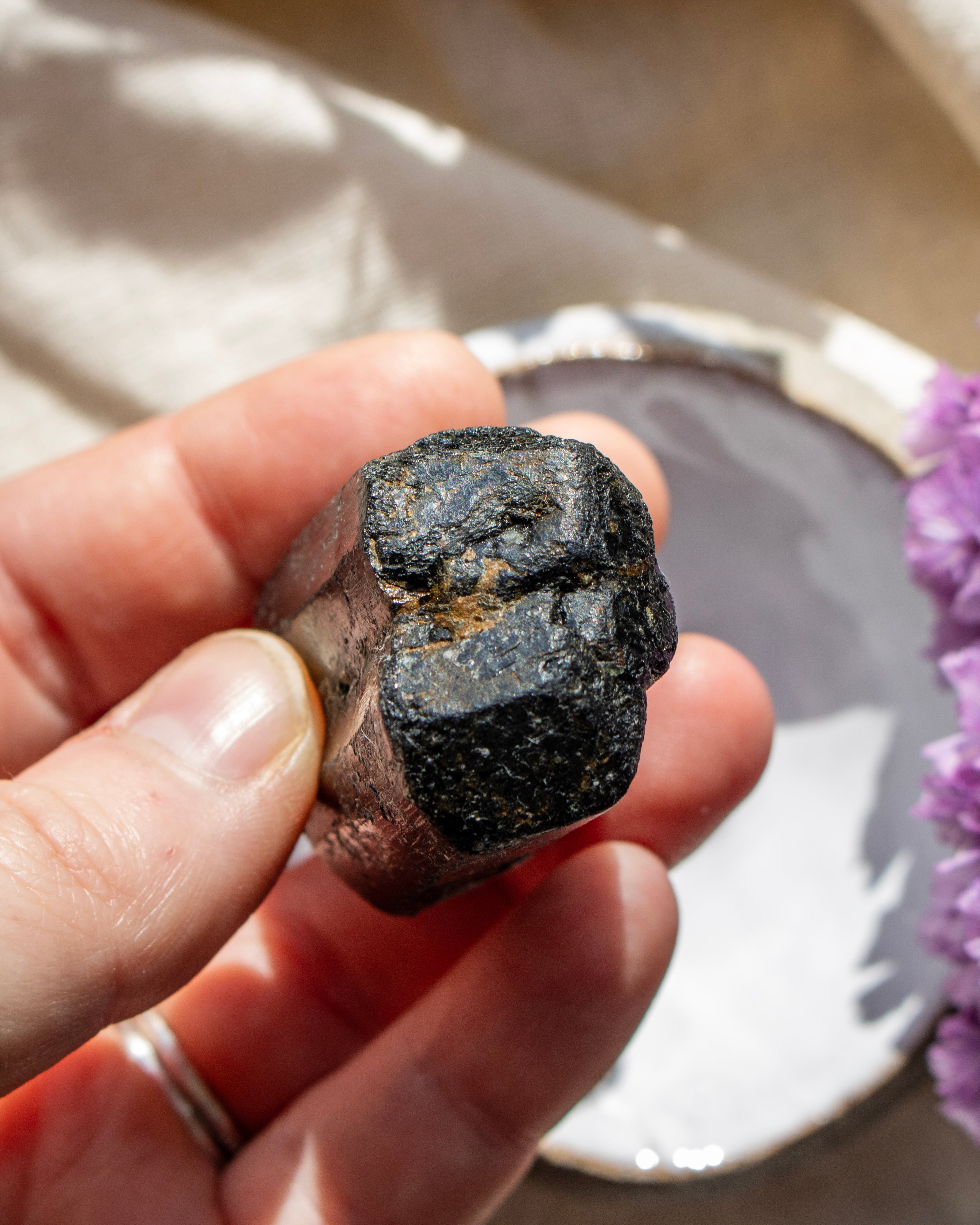 Hand holding a dark rock with a blurred background