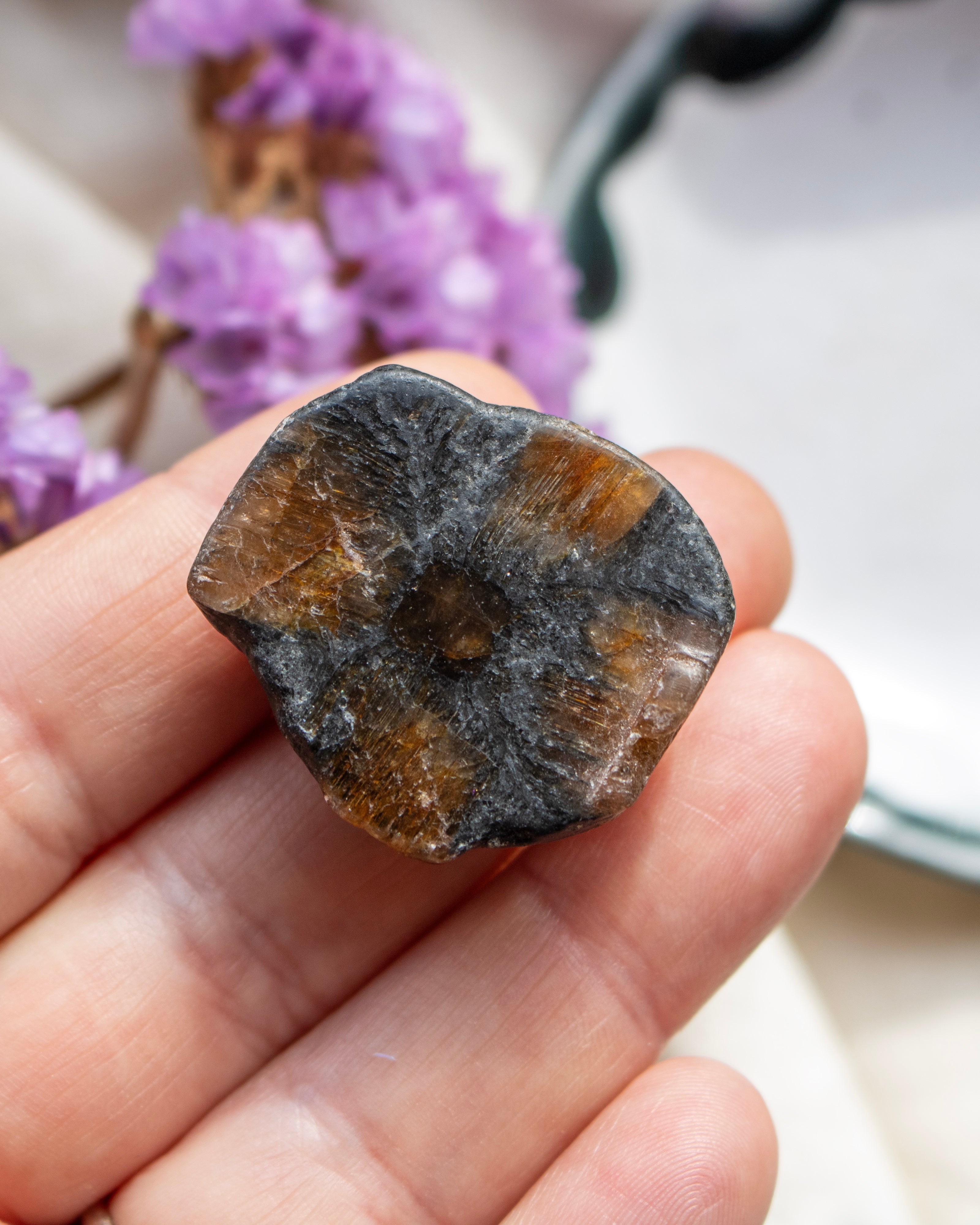 Mineral sample held in a hand with blurred purple flowers in the background