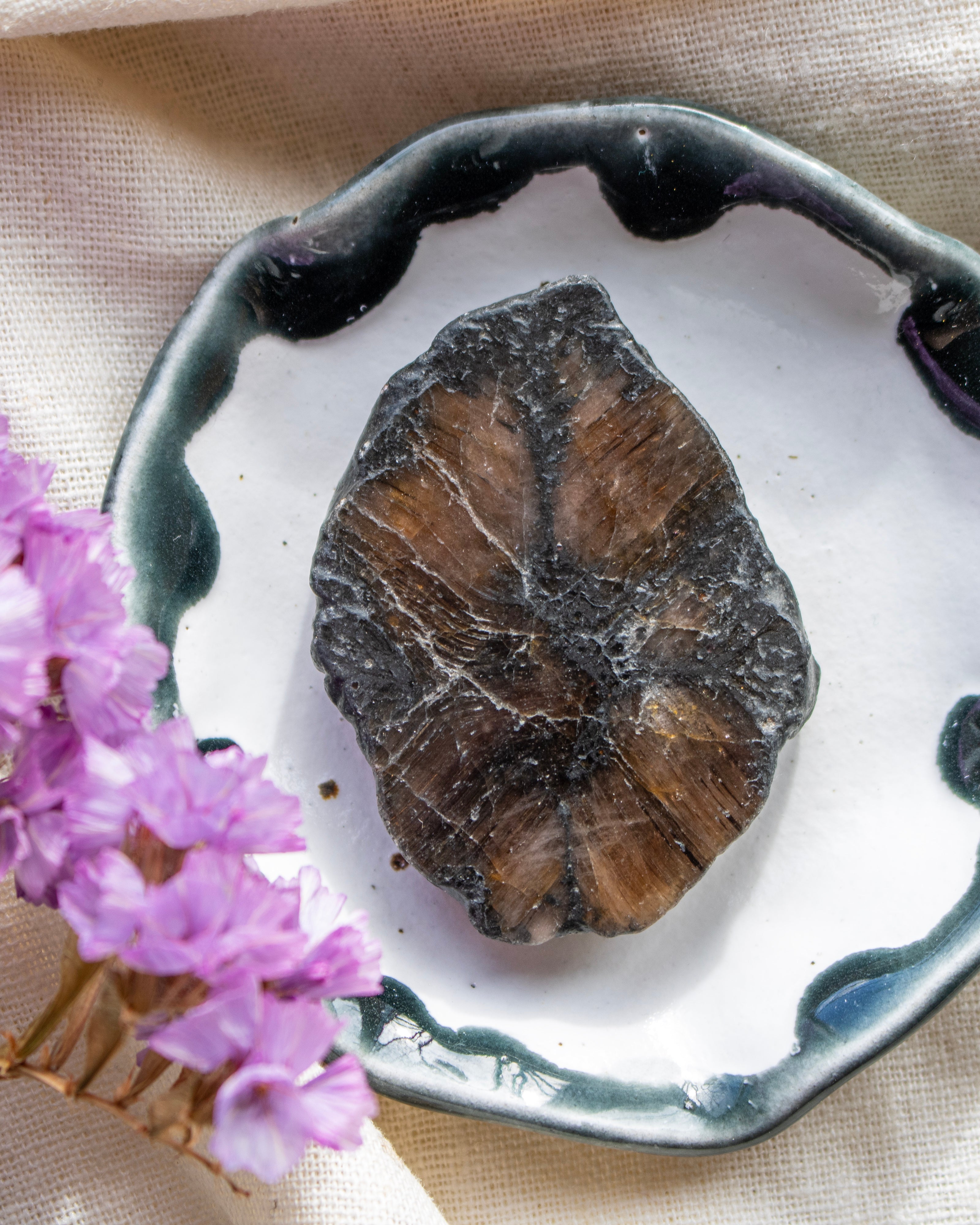 dark brown stone on a white plate with purple flowers on a beige background