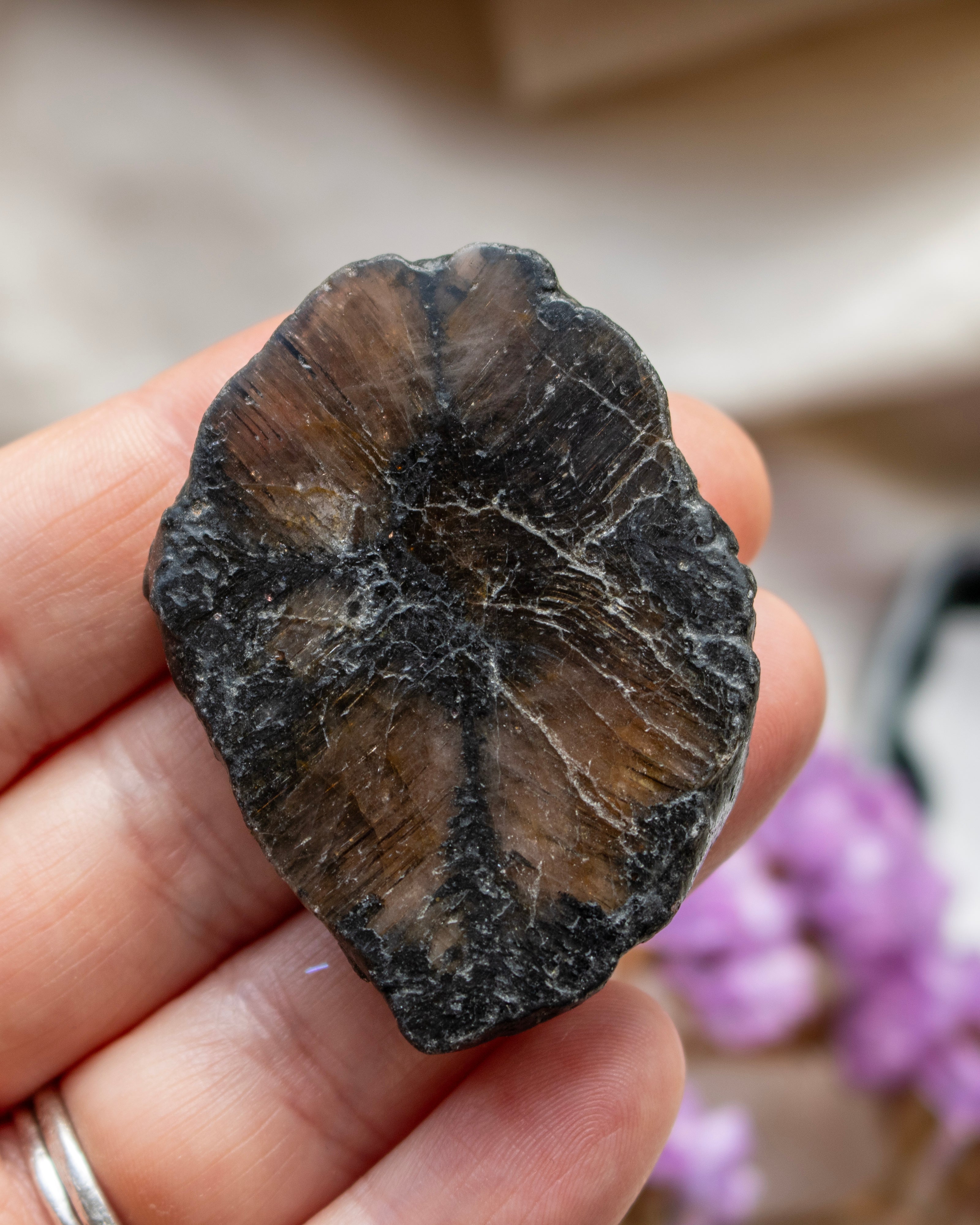 dark brown stone held in a hand with a blurred background