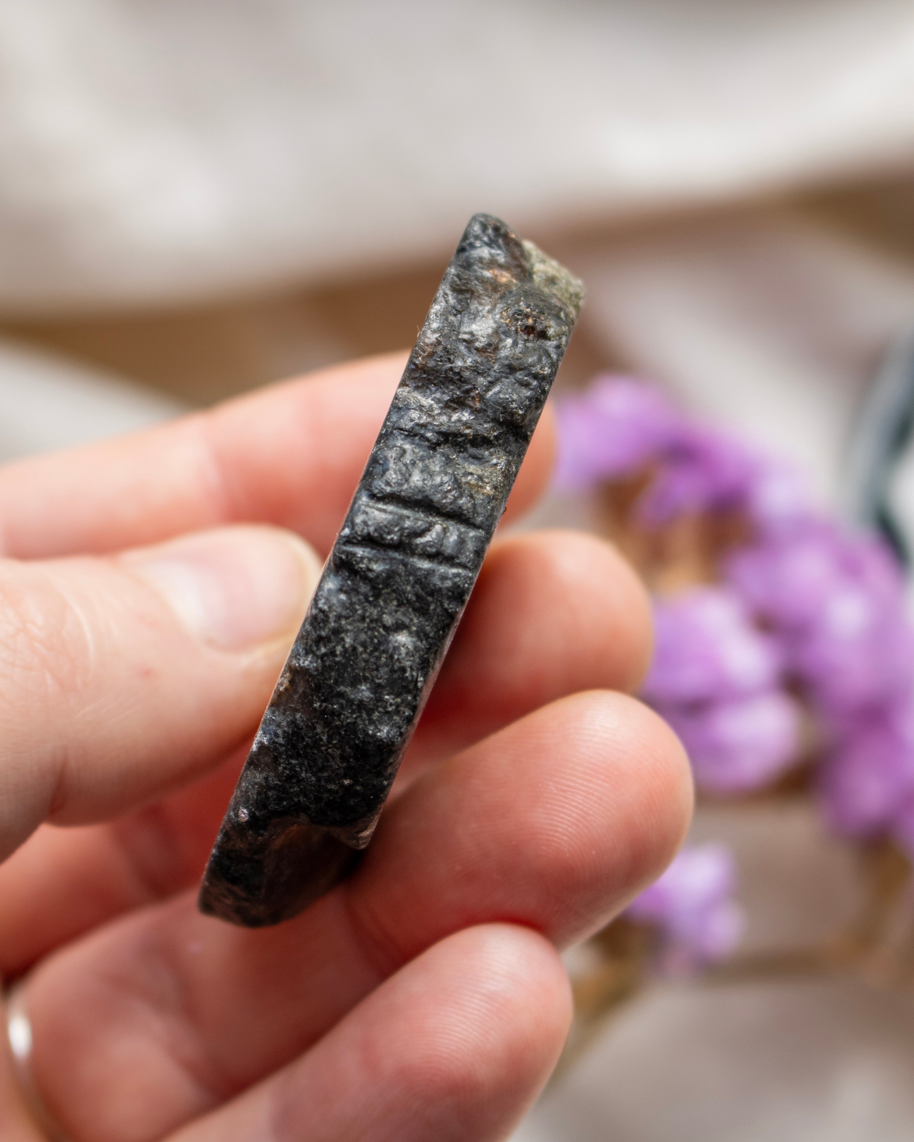 Hand holding a dark stone with a blurred background of purple flowers