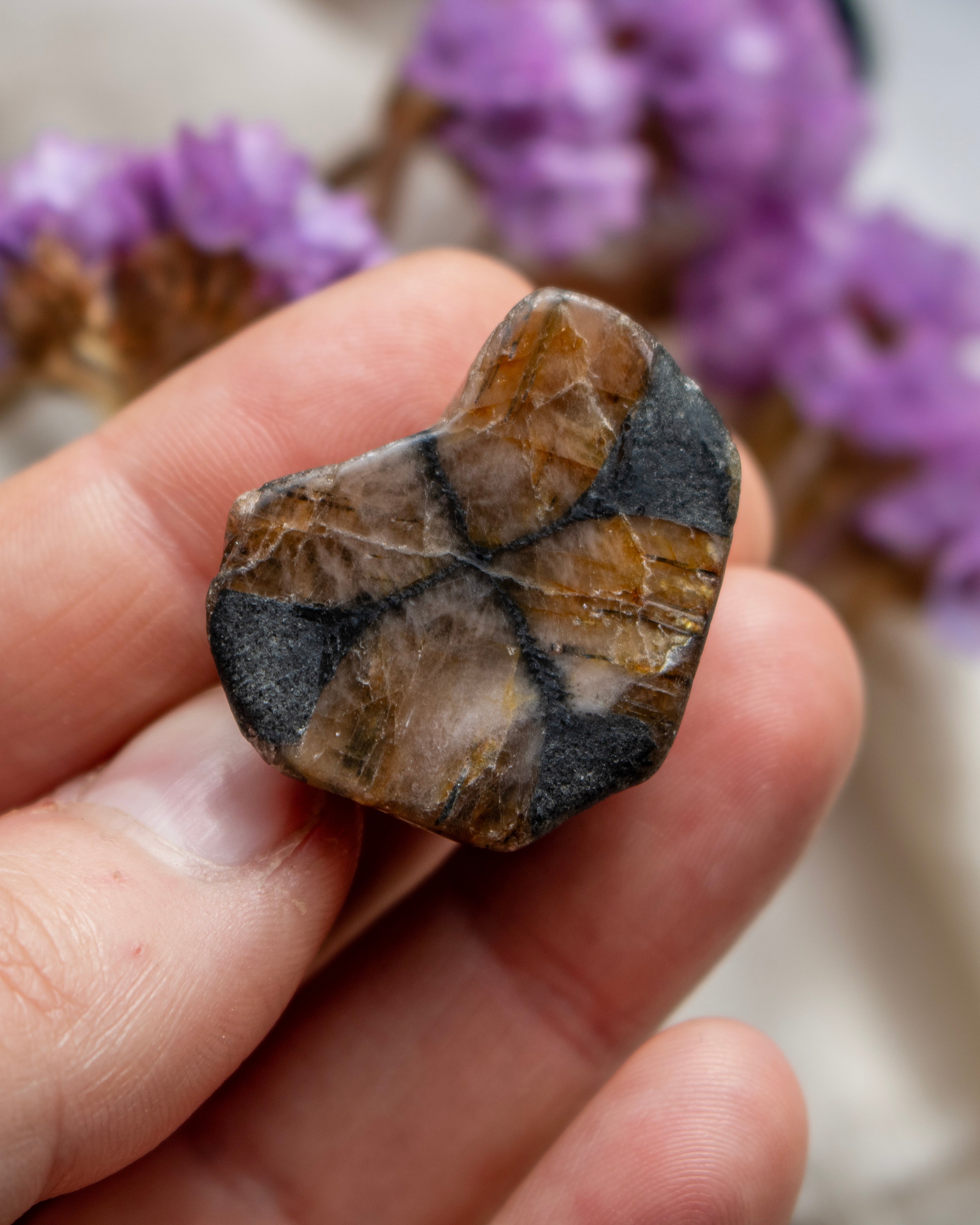 Hand holding a rough stone with purple flowers in the background
