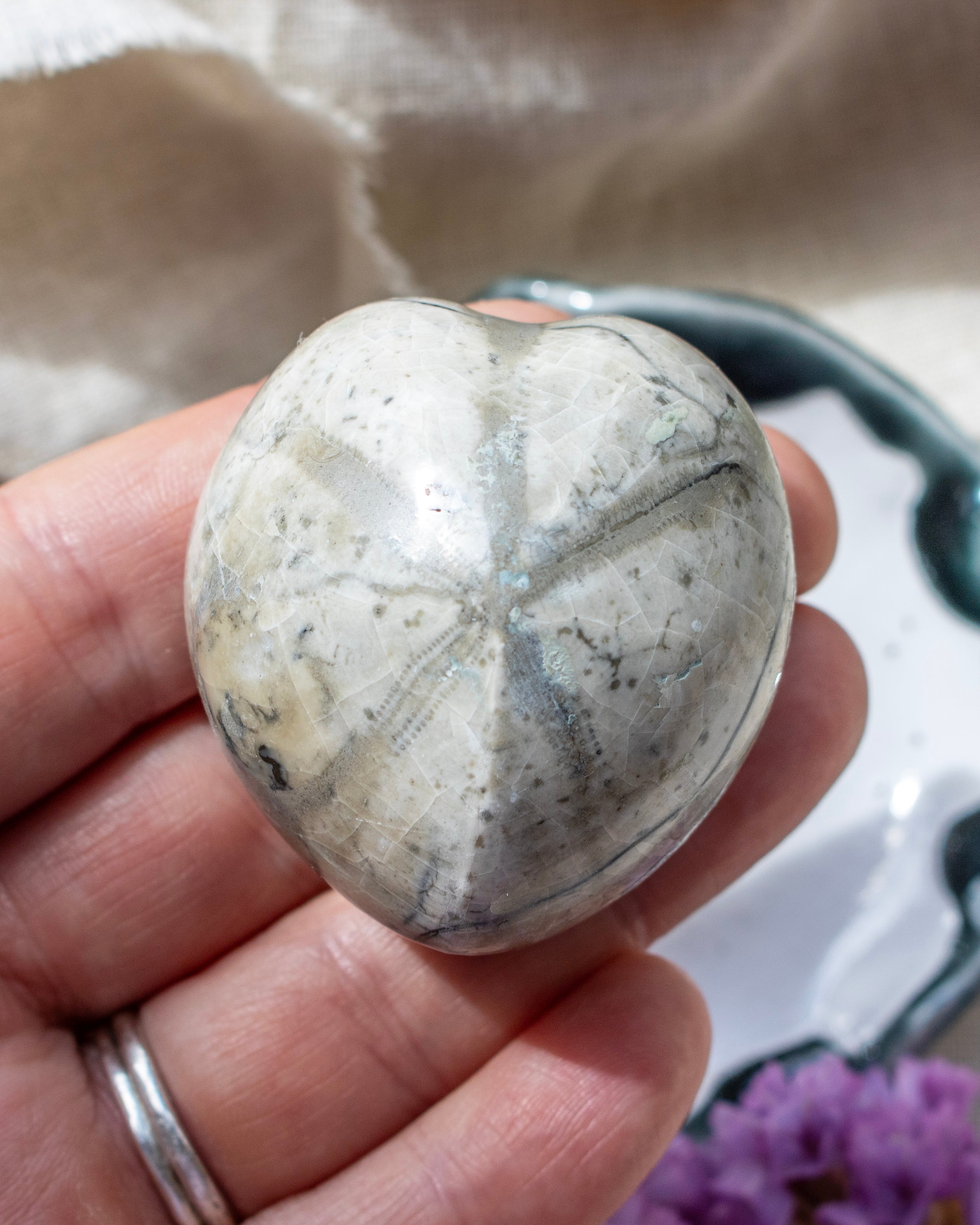 Hand holding a polished stone with a blurred background