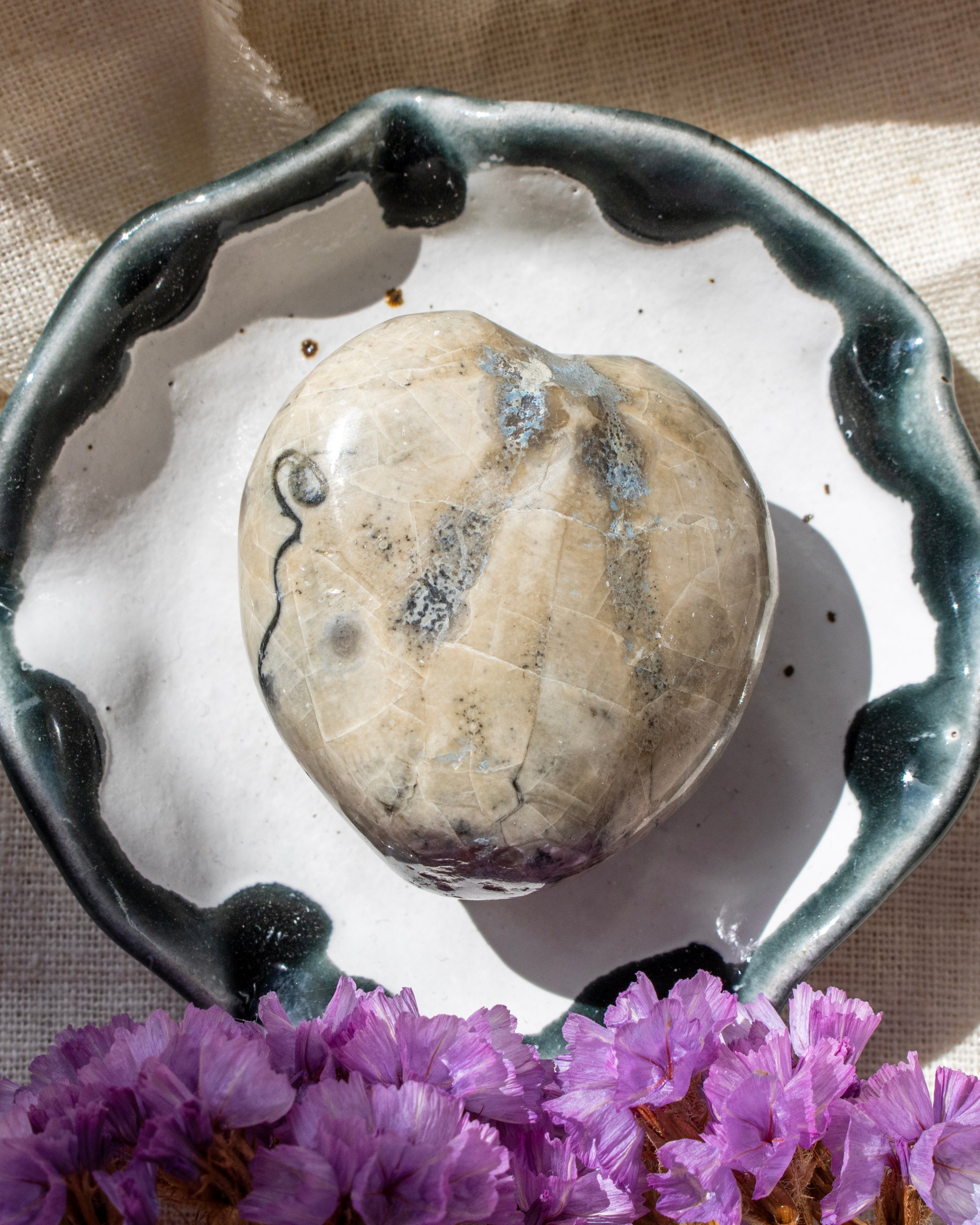 Sea Urchin Fossil (Micraster)