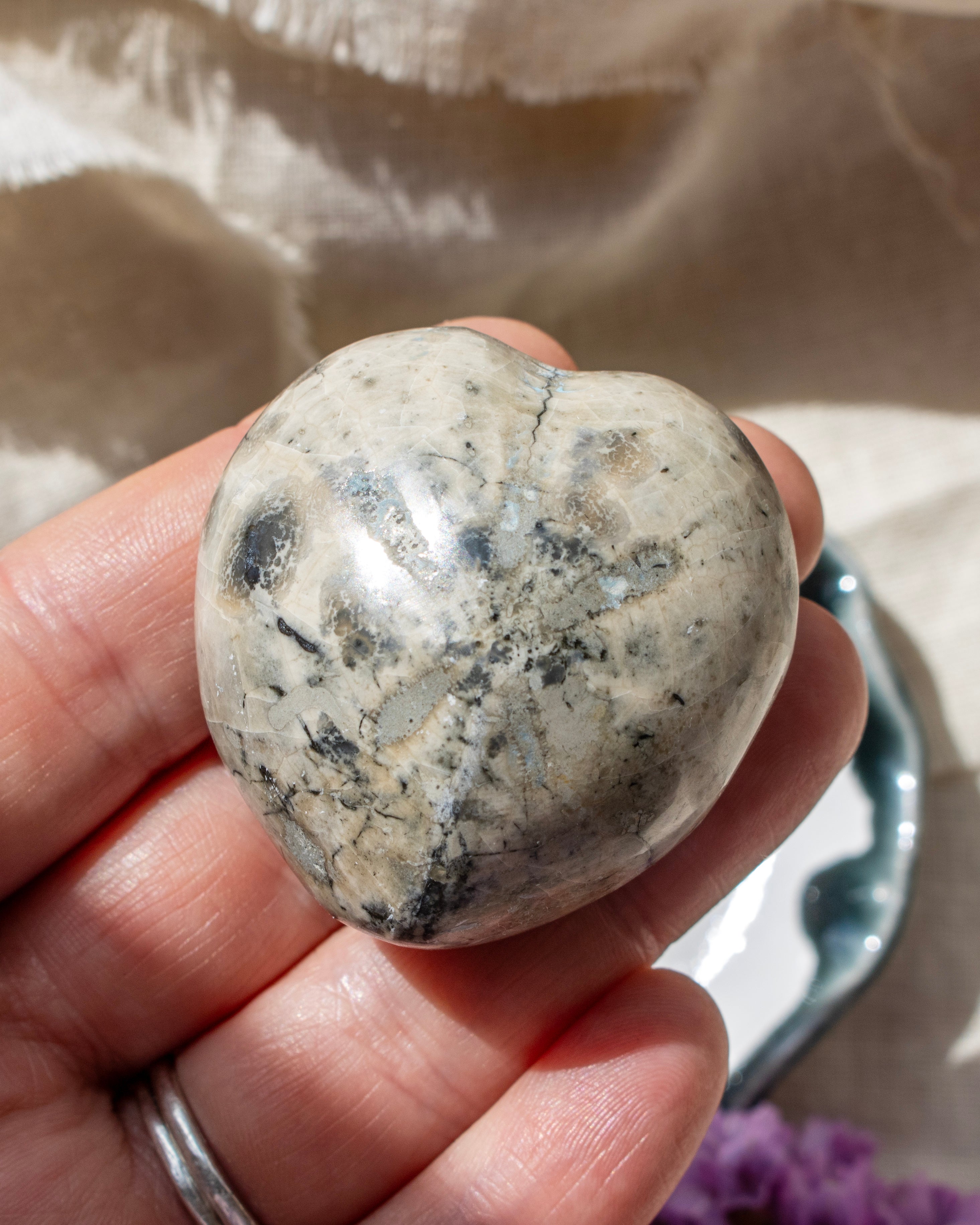 Sea Urchin Fossil (Micraster)