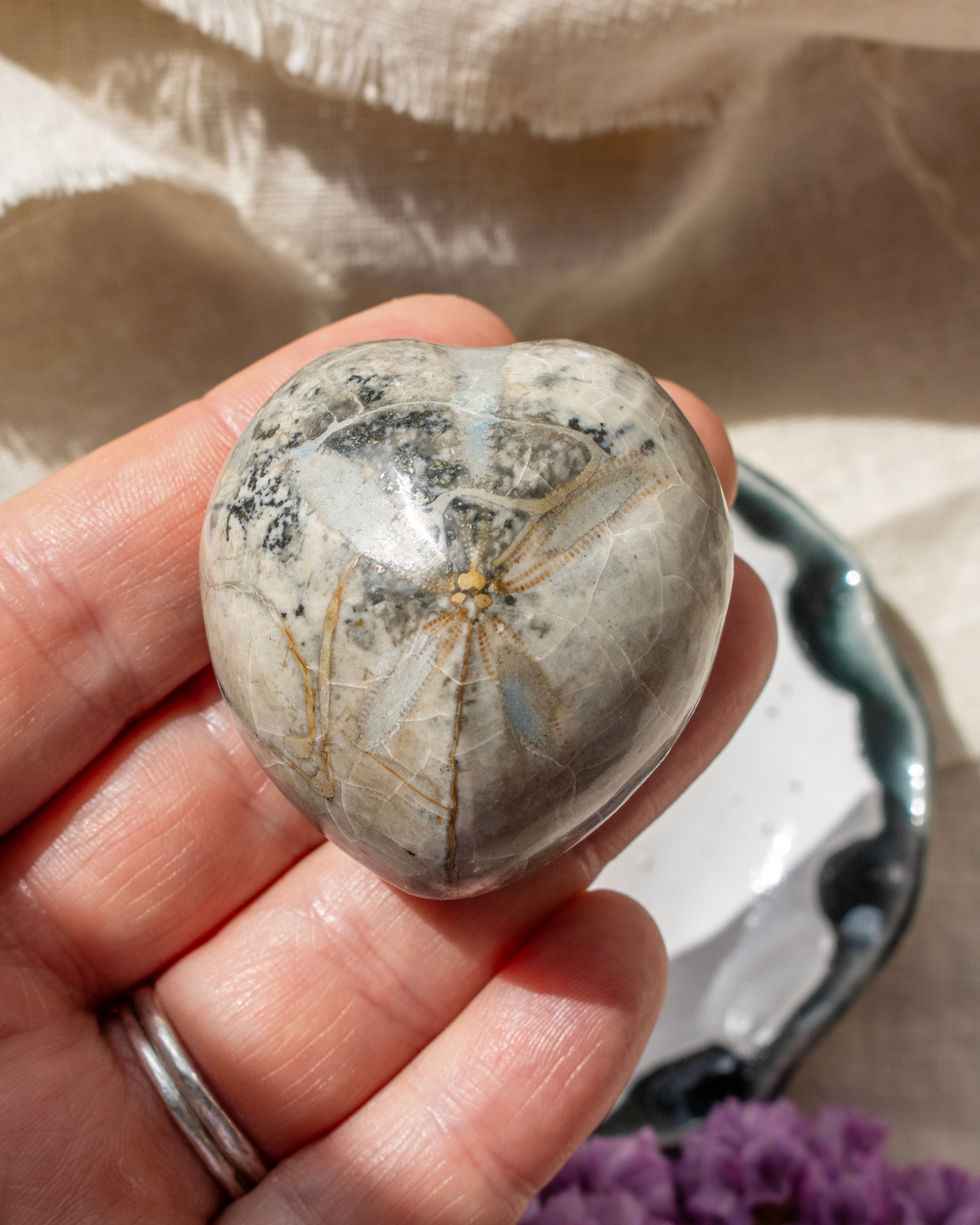 Hand holding a polished stone with intricate patterns against a neutral background