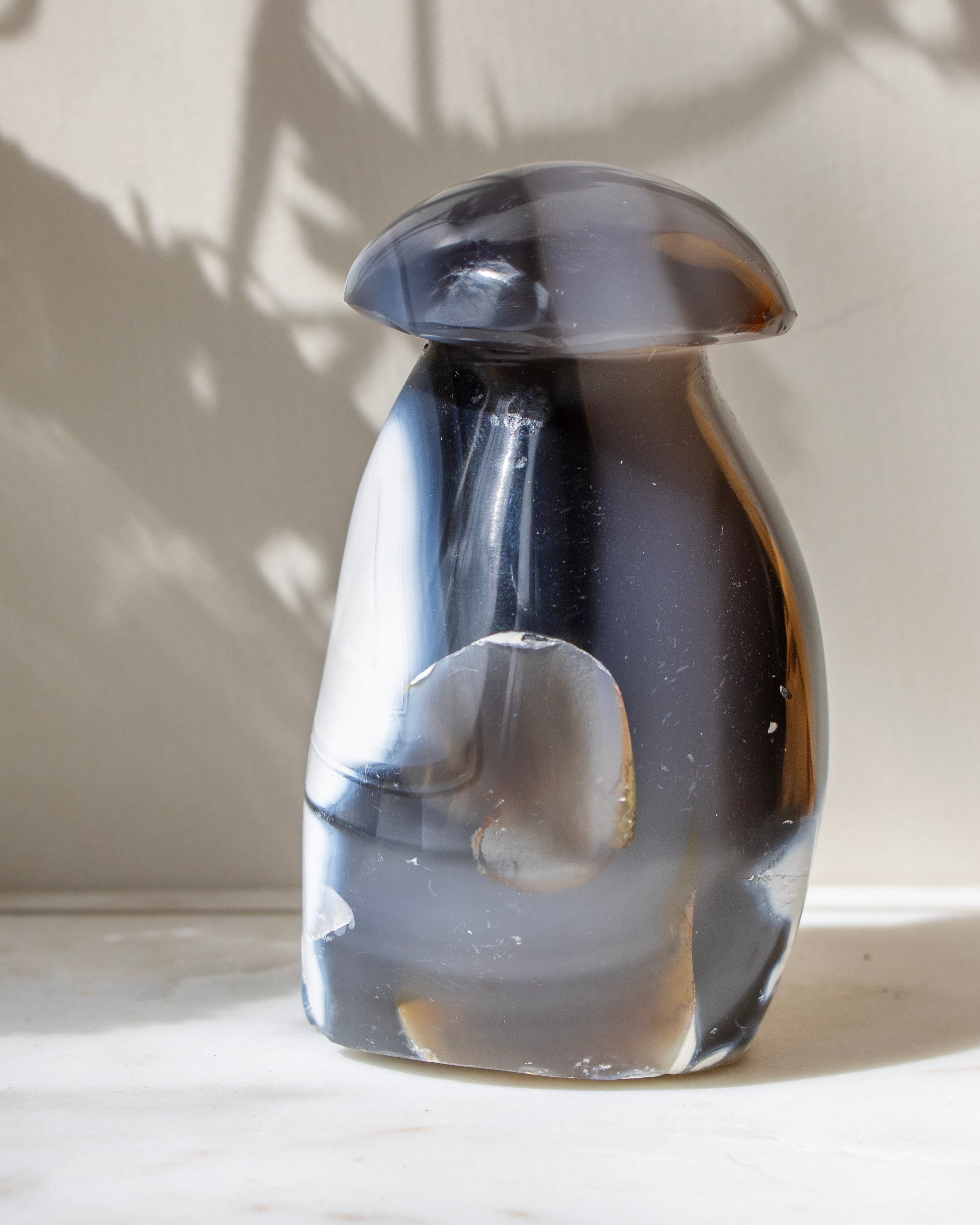 Agate stone black and brown accents on a light background
