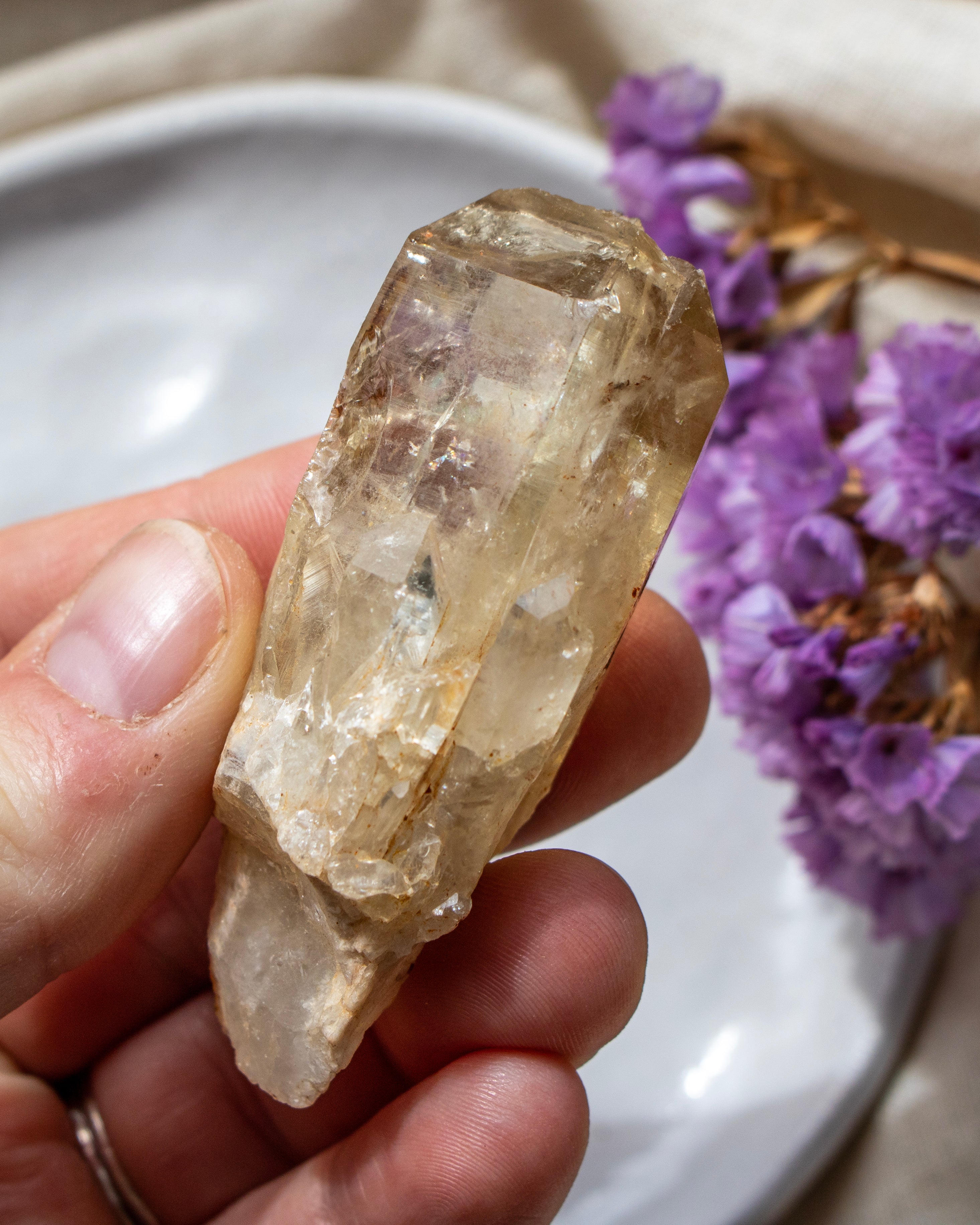 Hand holding a clear crystal with purple flowers in the background