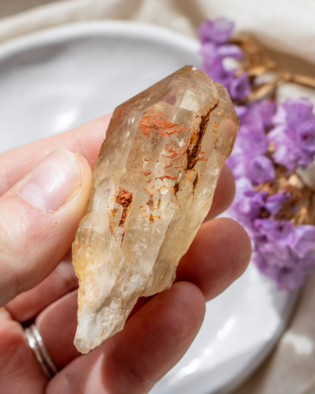 Hand holding a crystal with purple flowers in the background