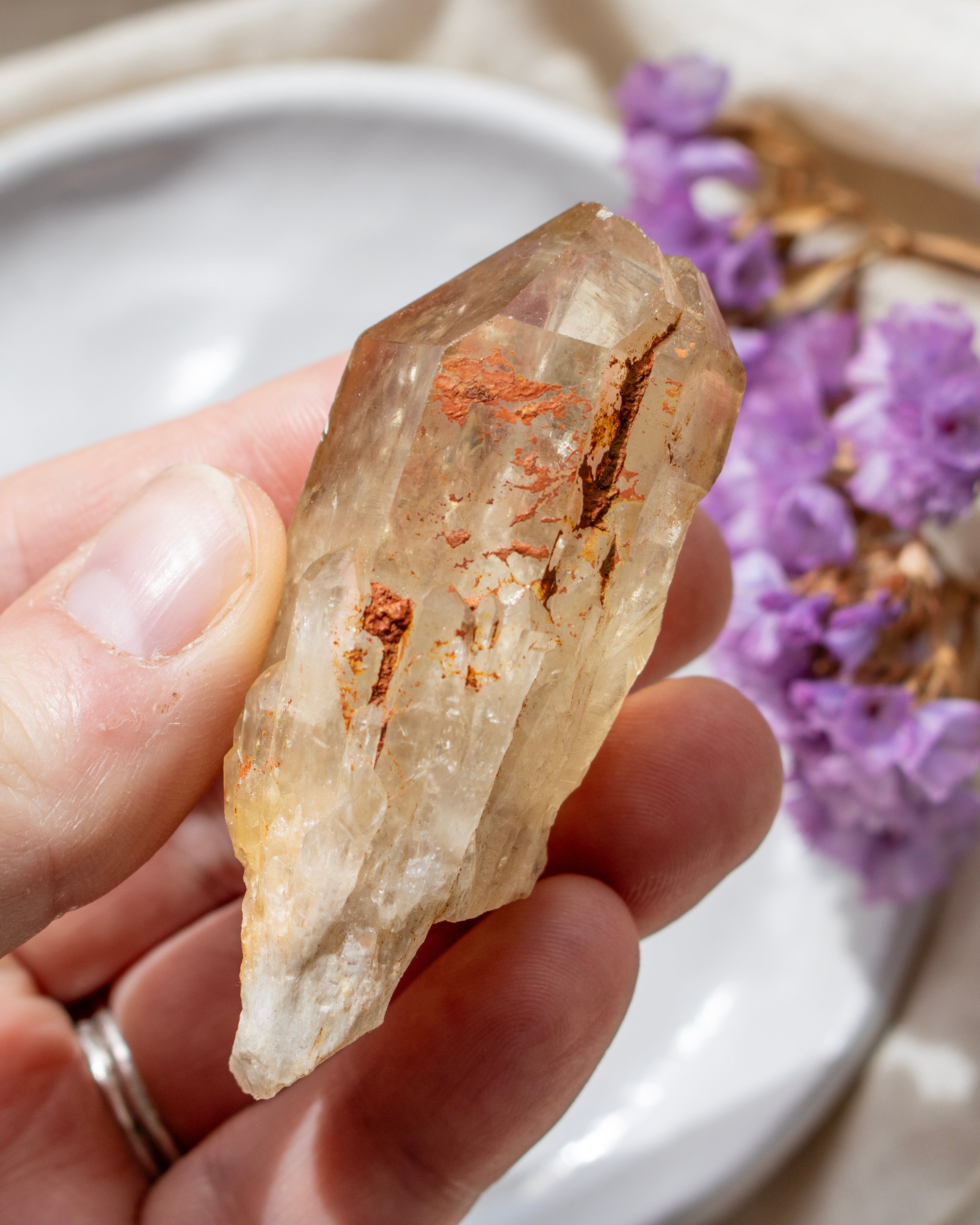 Hand holding a crystal with purple flowers in the background