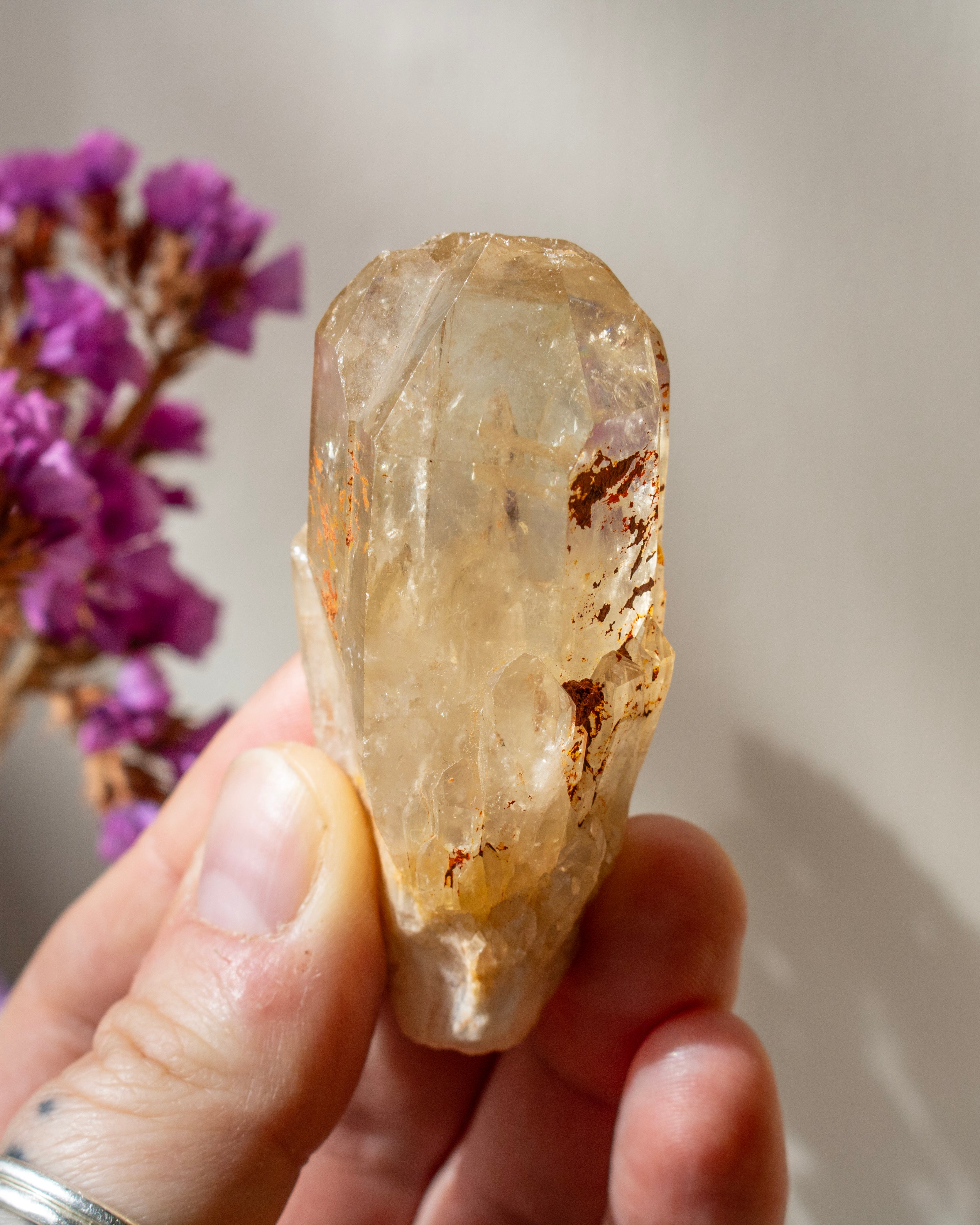 Hand holding a crystal with purple flowers in the background