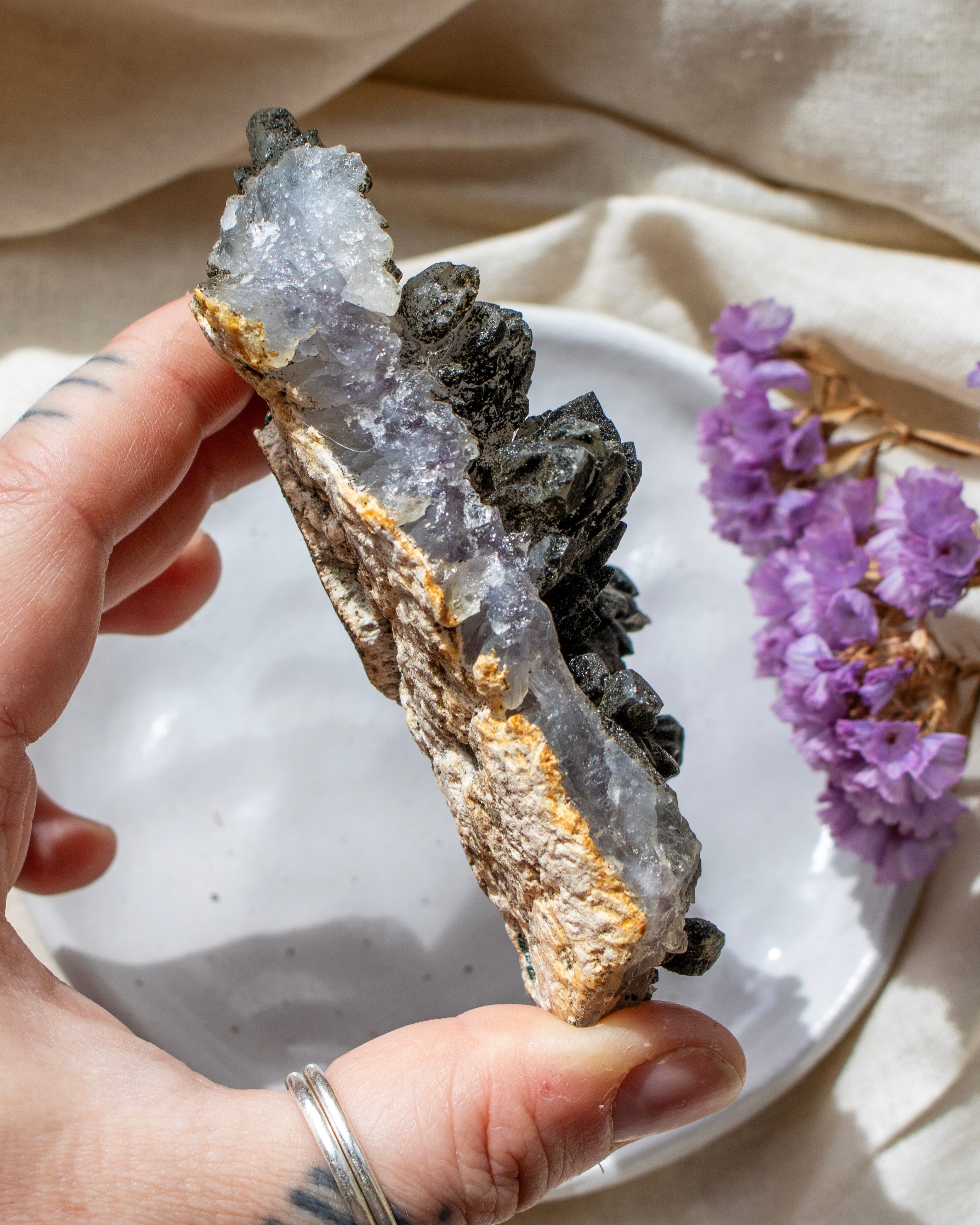 Person holding a crystal rock with a white plate and purple flowers in the background