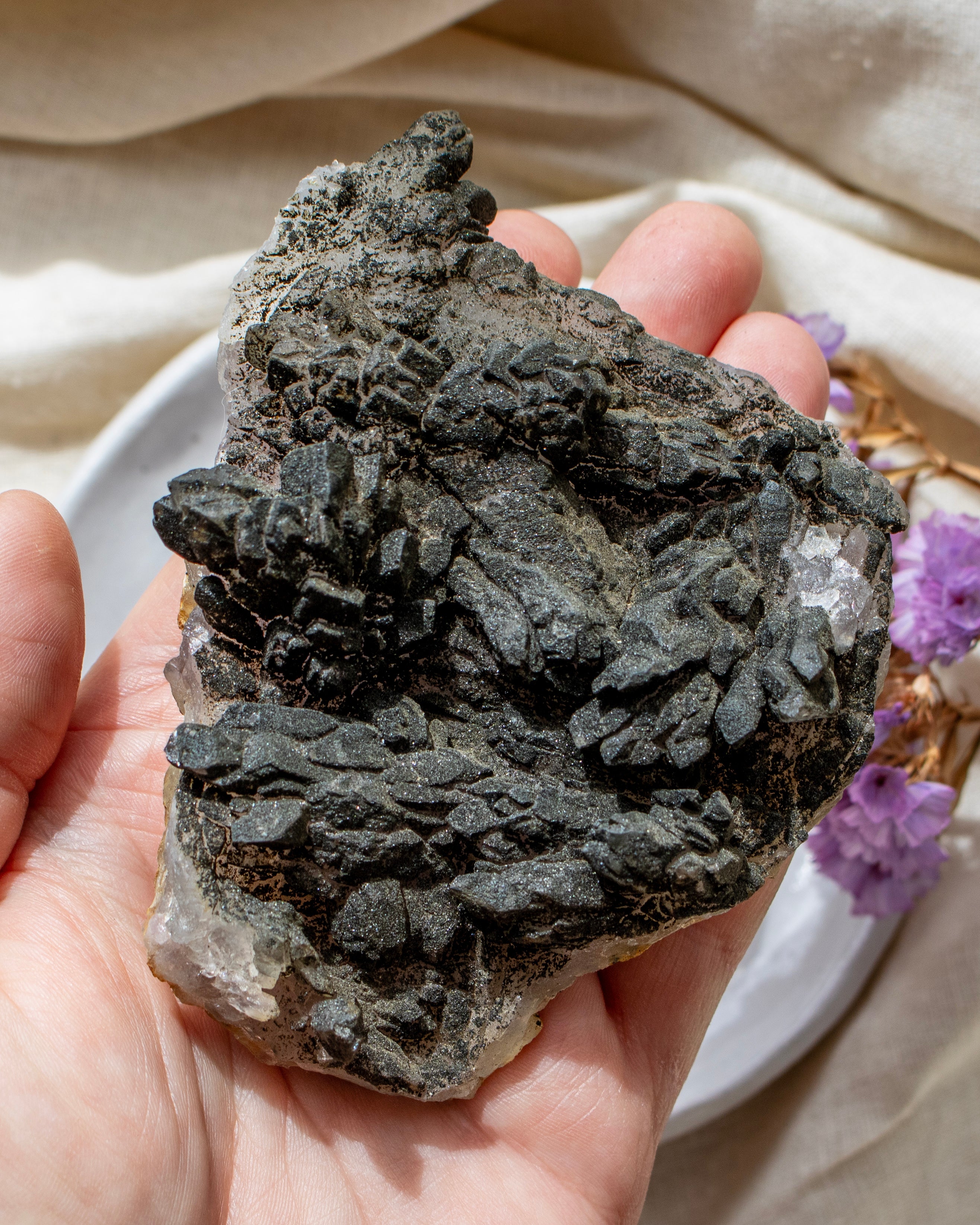 Hand holding a large dark gray mineral specimen with a soft beige background