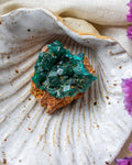 Green crystal cluster on a textured white surface with purple flowers
