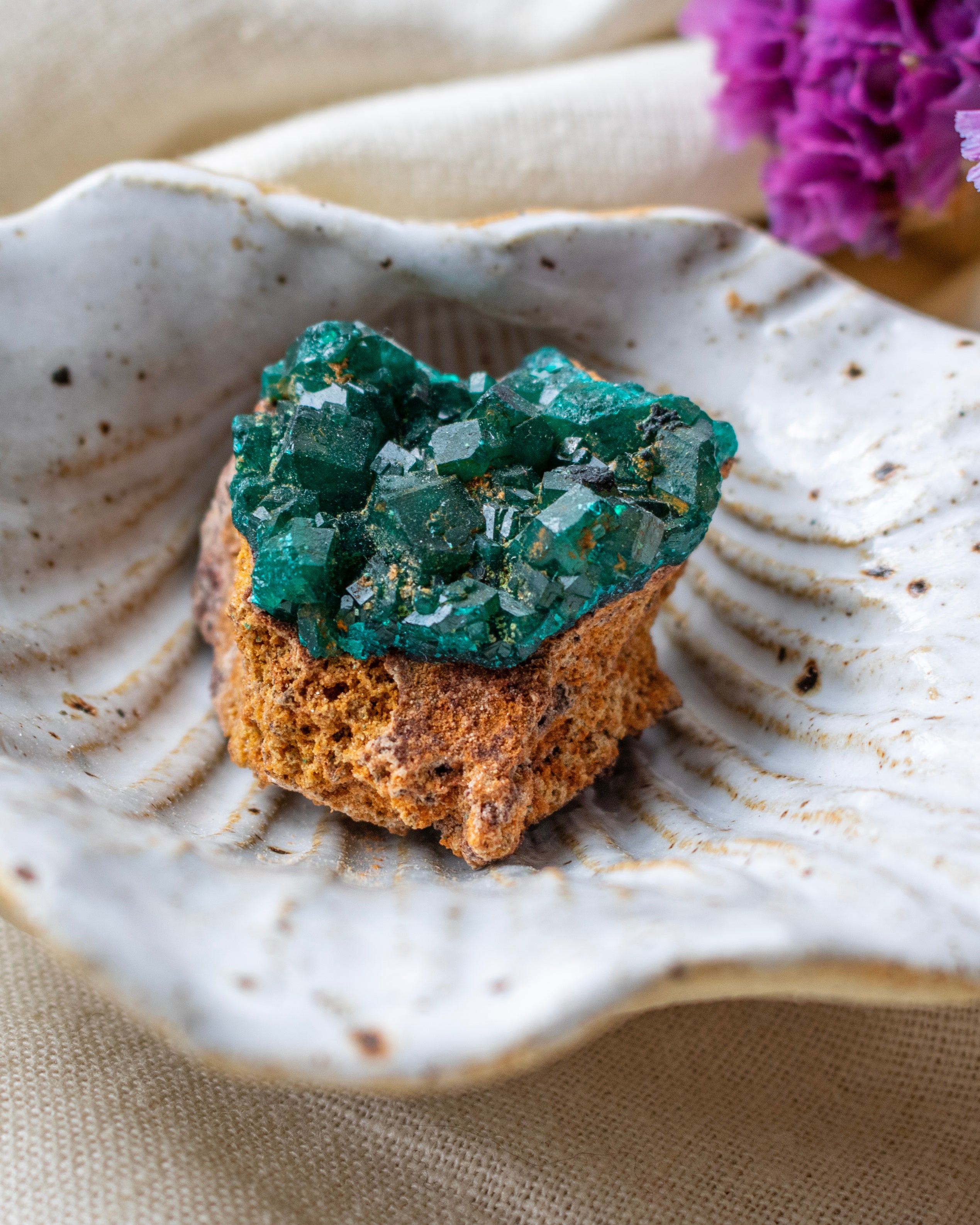 Green crystal on a brown rock inside a textured white shell with purple flowers in the background.
