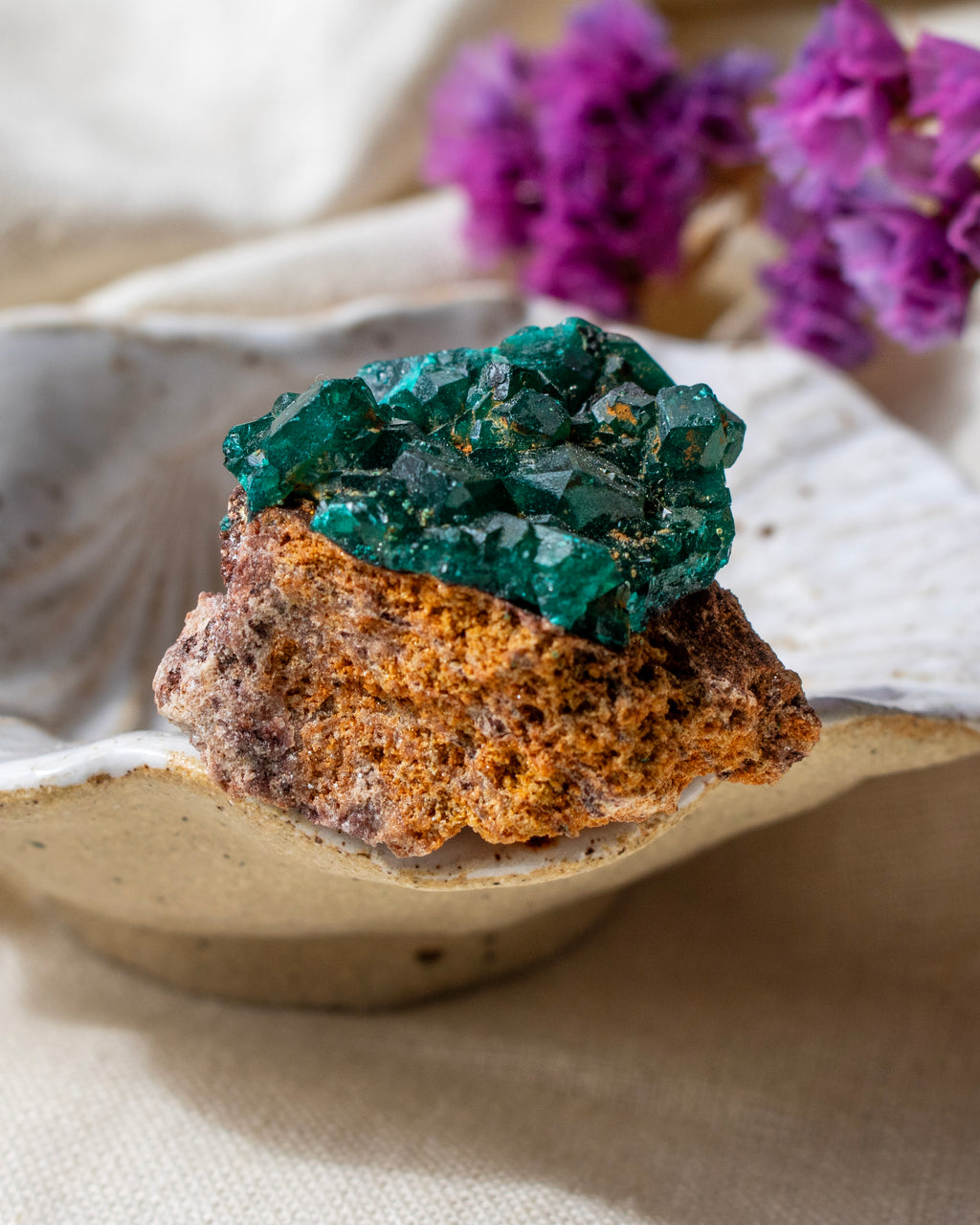 Mineral specimen on a white plate with purple flowers in the background