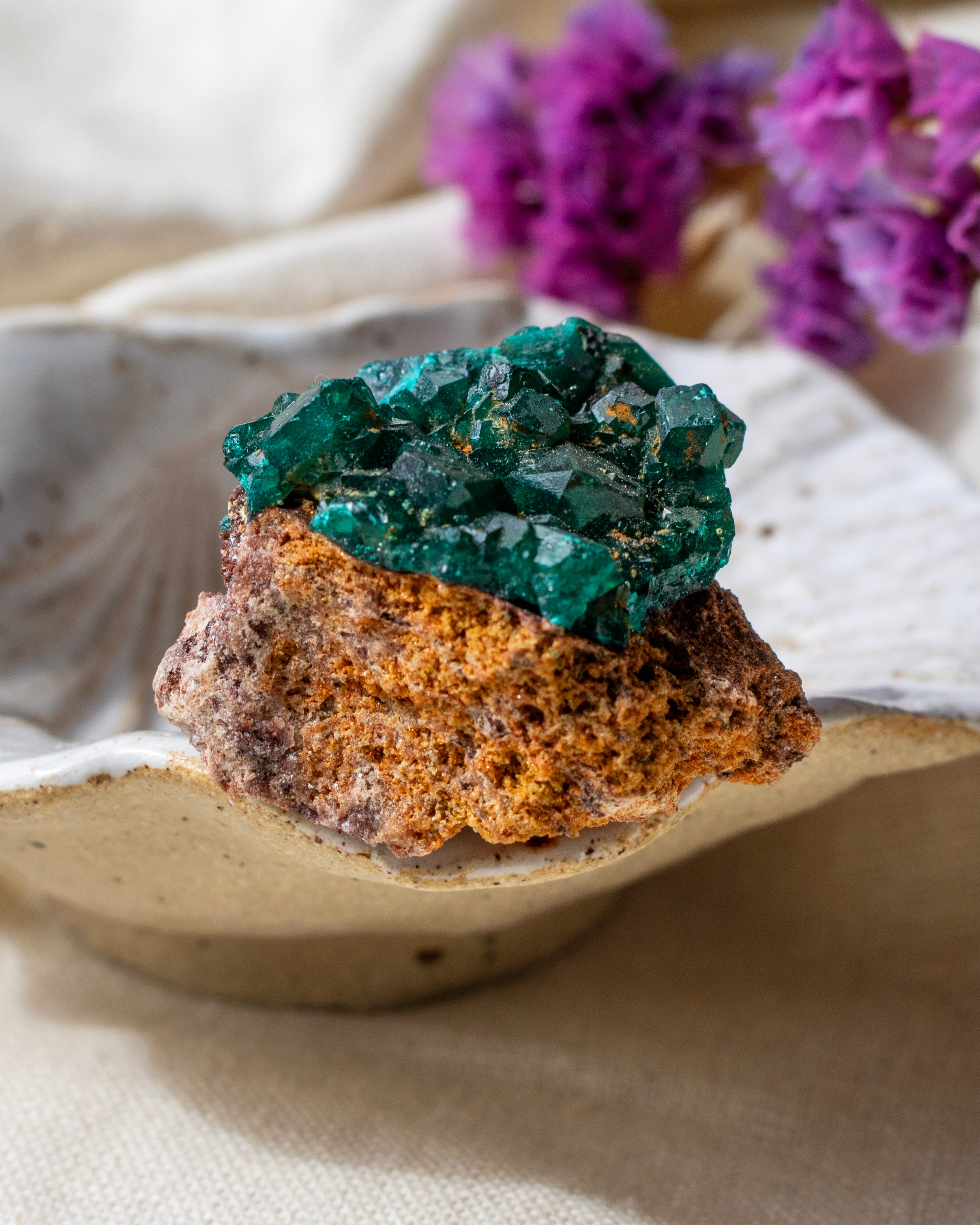 Mineral specimen on a white plate with purple flowers in the background