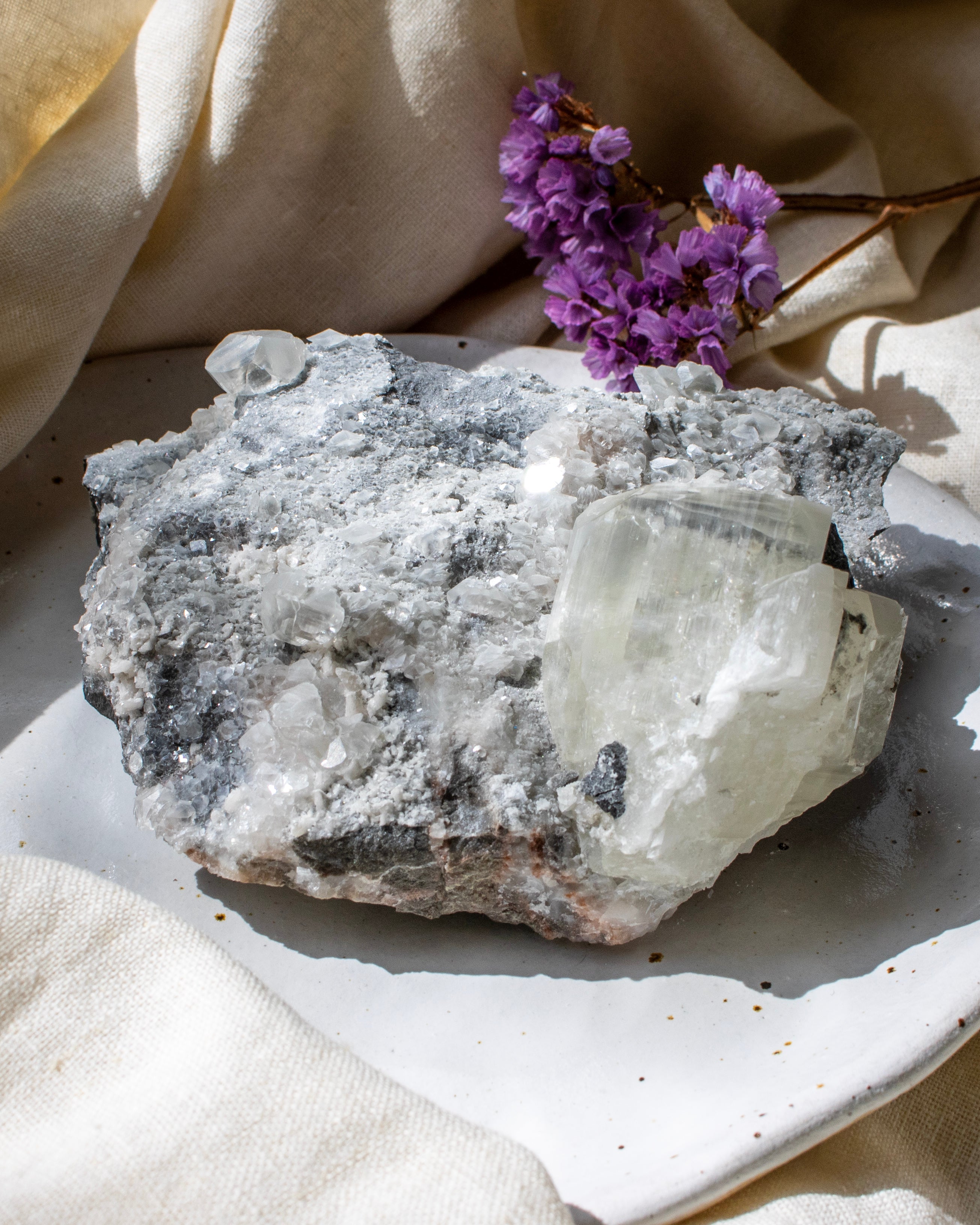 Mineral specimen on a white plate with purple flowers in the background
