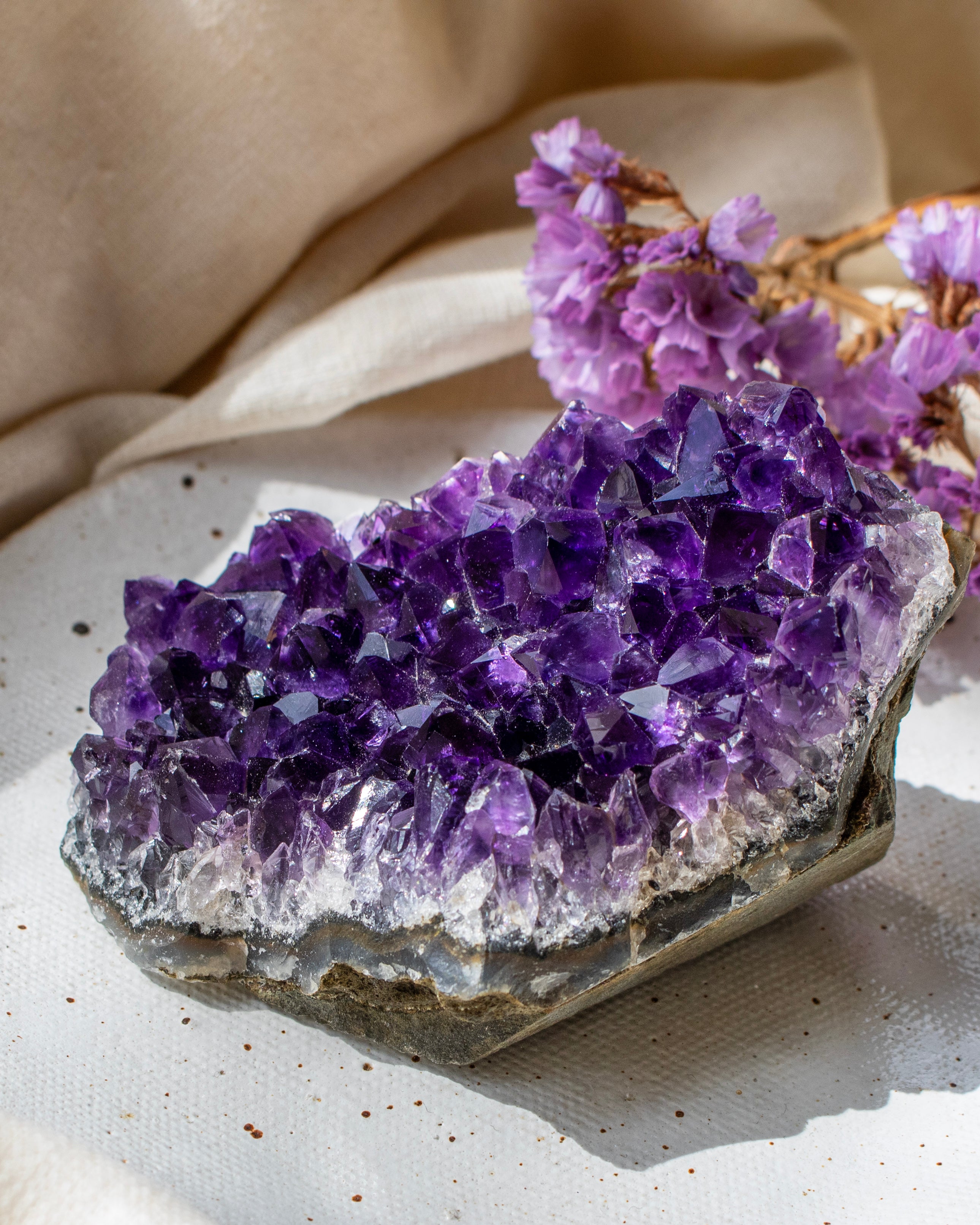 Amethyst crystal cluster with purple flowers on a neutral background