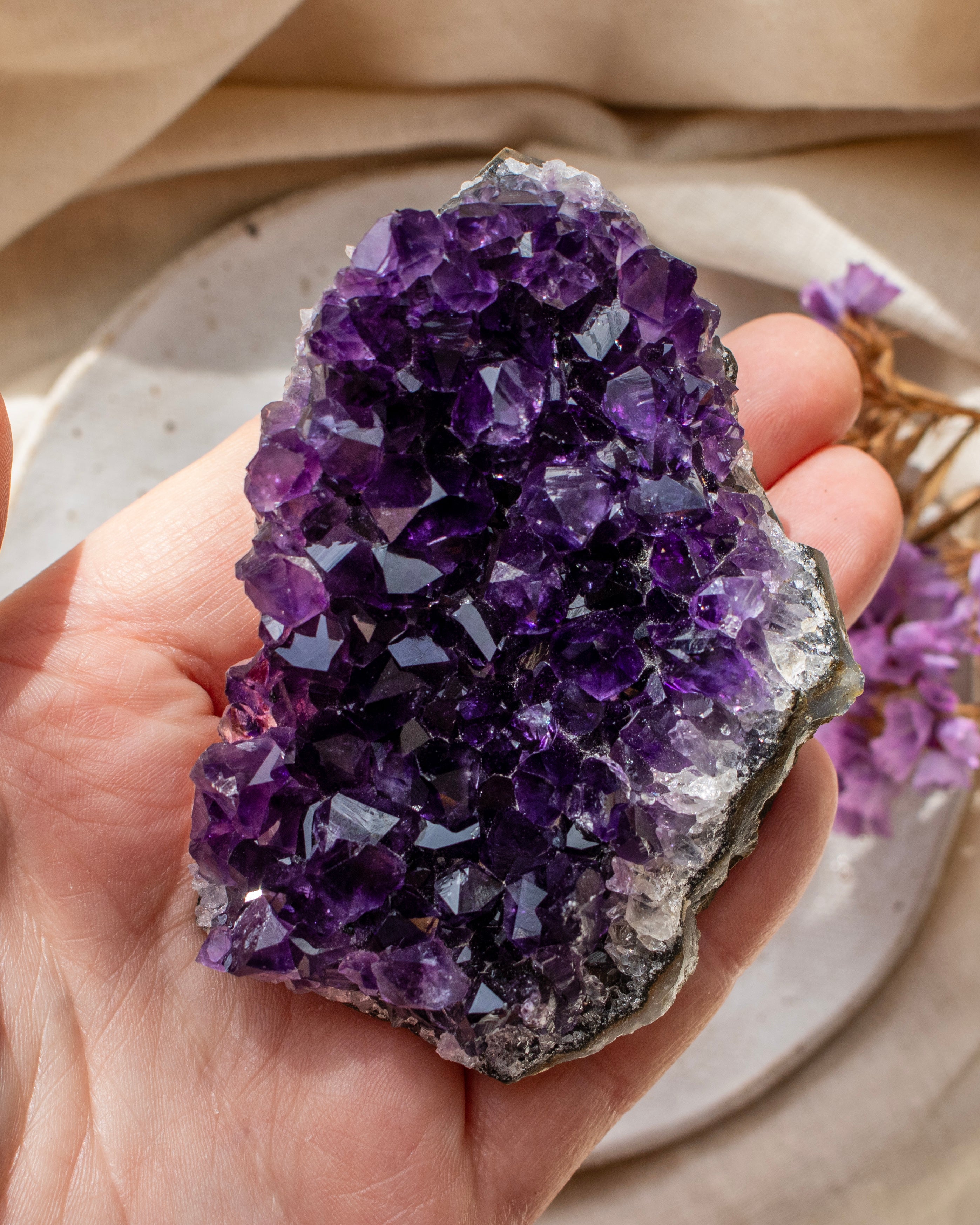 Hand holding a large purple amethyst crystal on a neutral background
