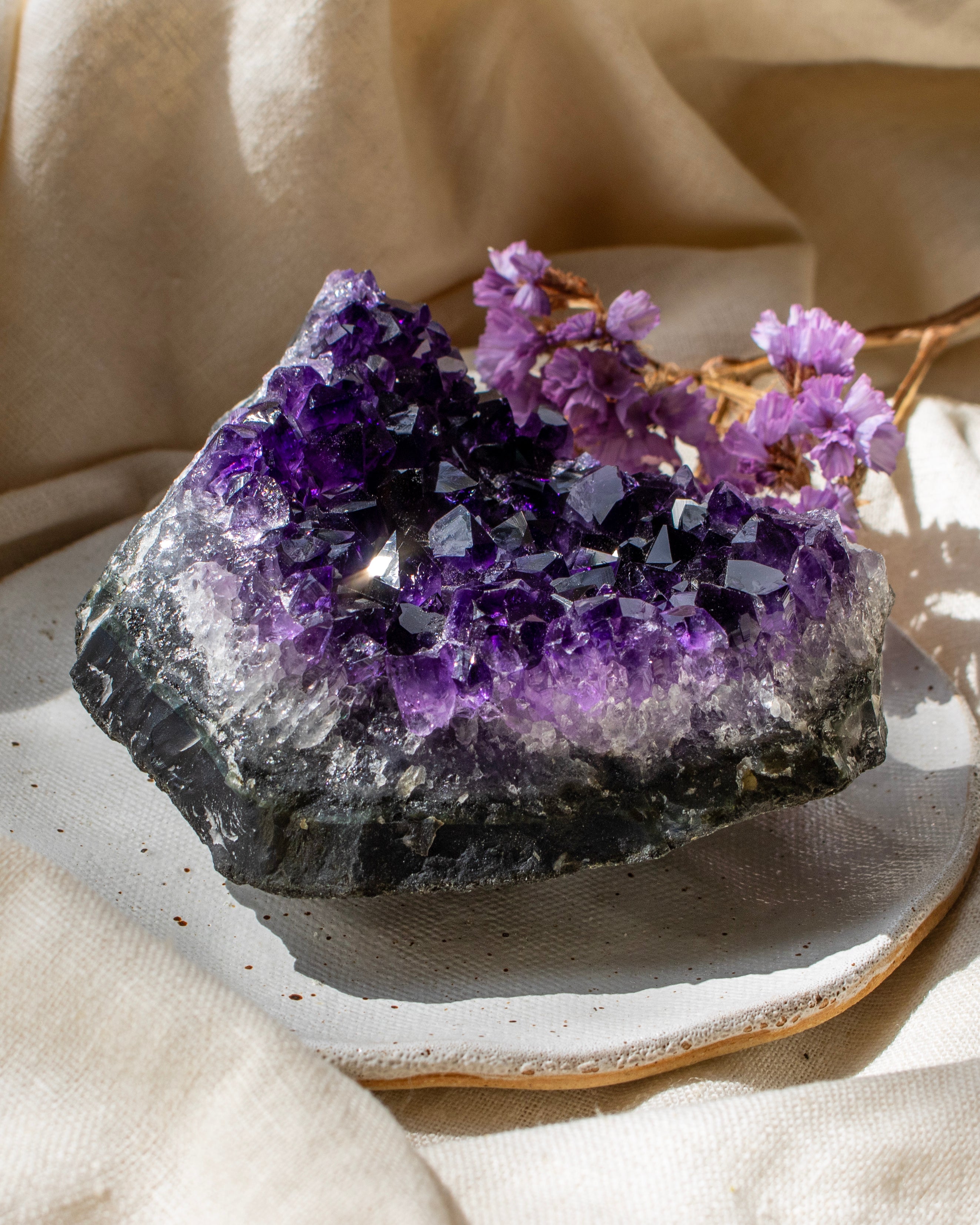 Amethyst crystal cluster on a beige surface with dried flowers