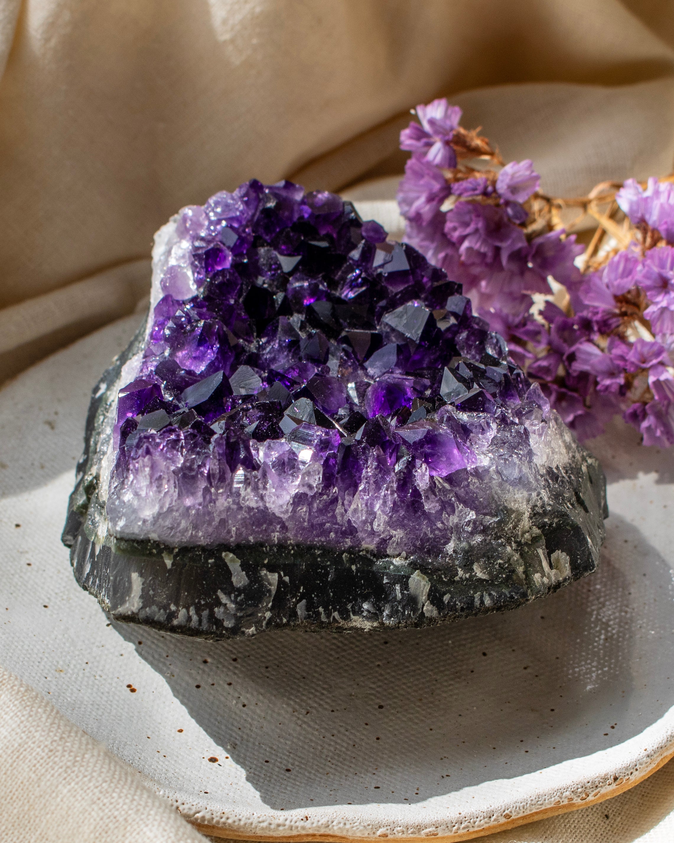 Amethyst crystal cluster on a beige surface with dried flowers