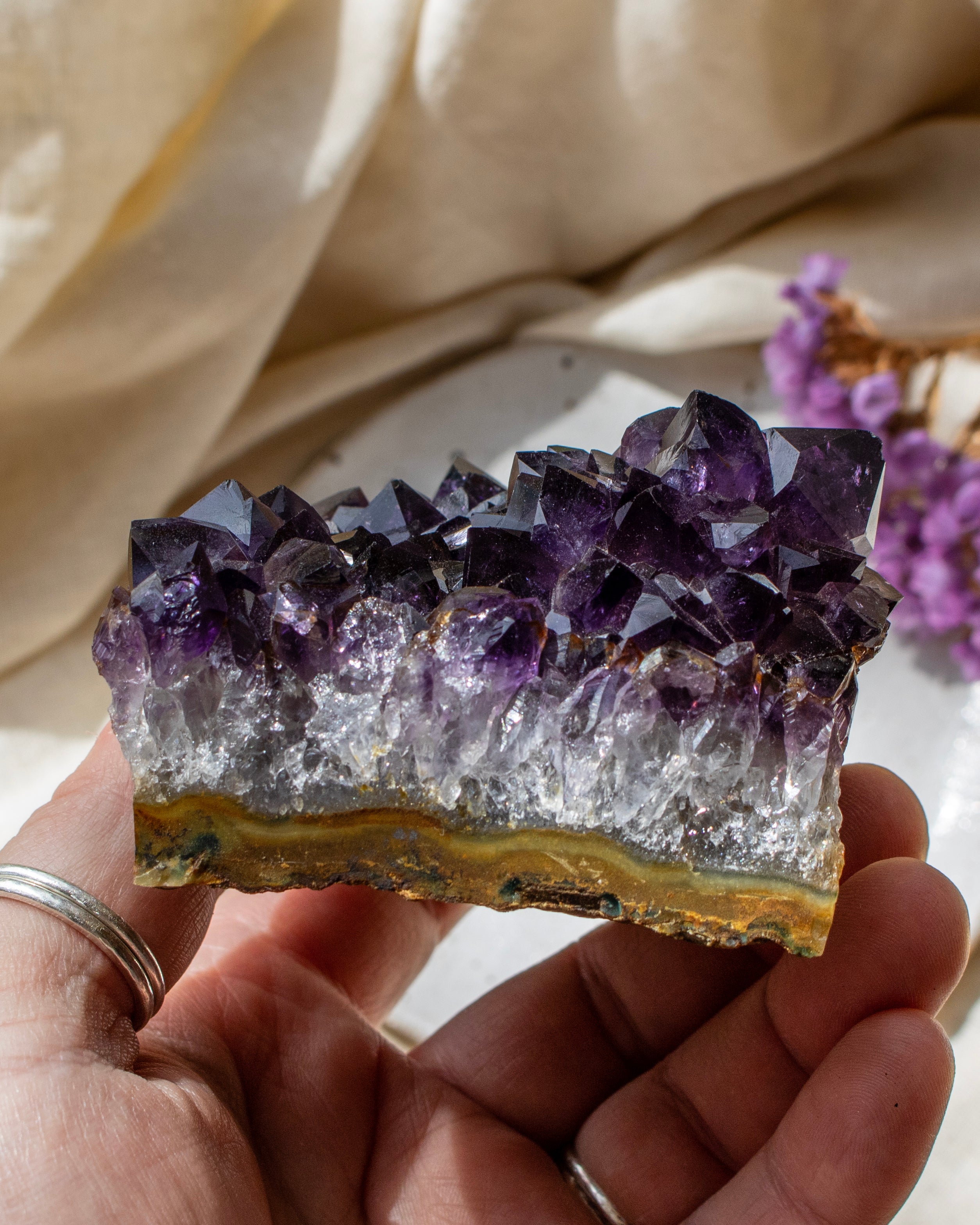 Amethyst crystal cluster held in a hand with a soft background