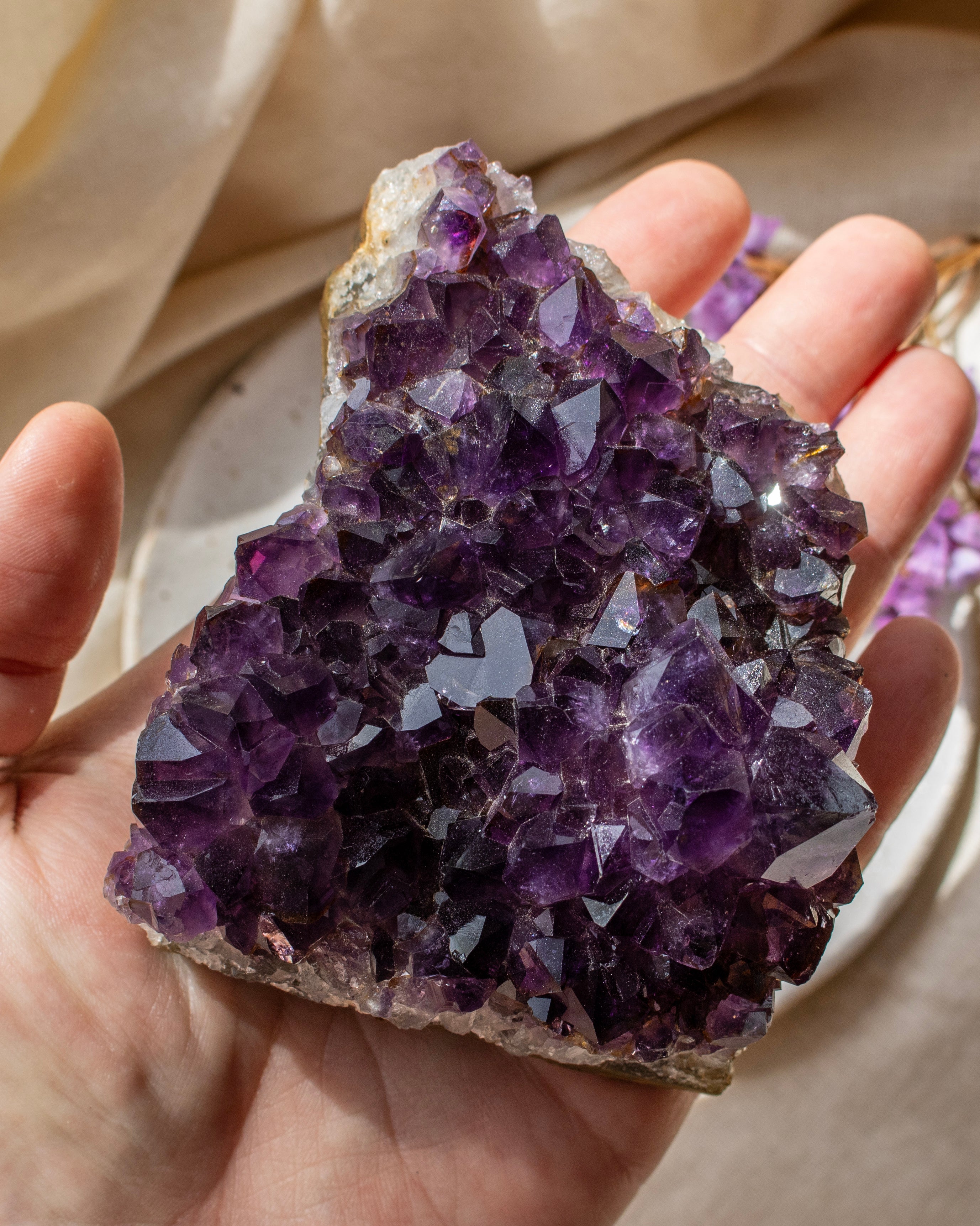 Amethyst crystal cluster held in a hand with a soft background