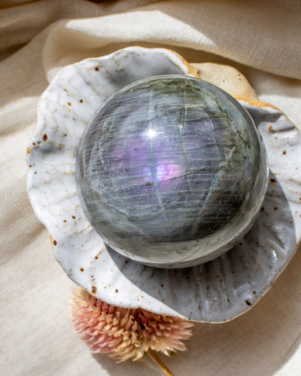 Crystal ball on a seashell with a soft beige background
