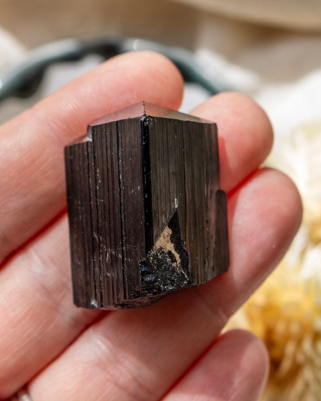 Person holding a dark brown crystal or mineral in their hand.