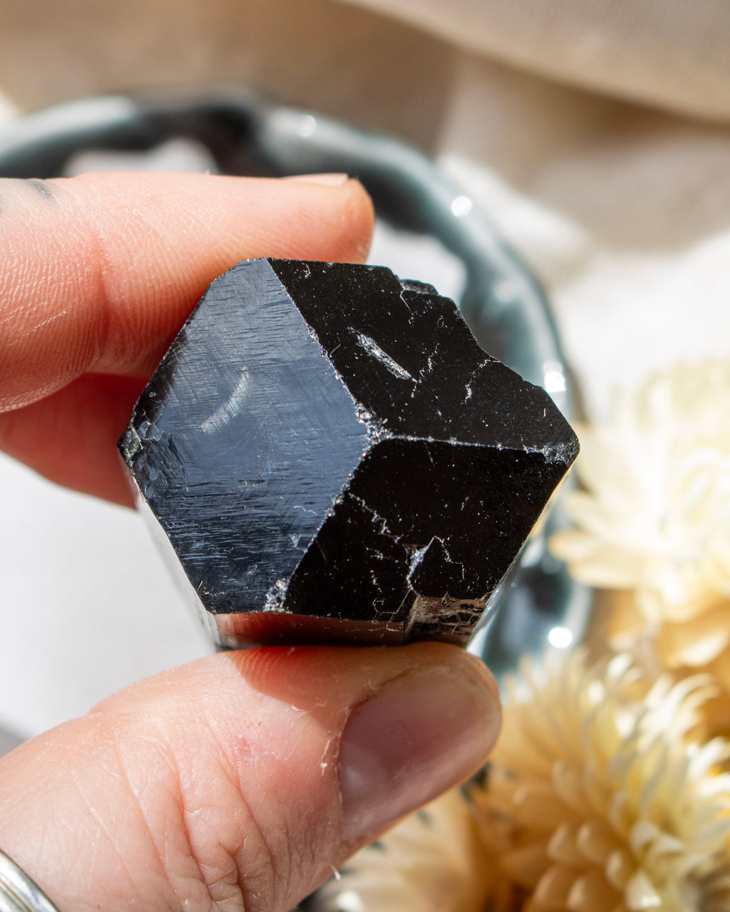 Hexagonal black crystal held in a hand with a blurred natural background