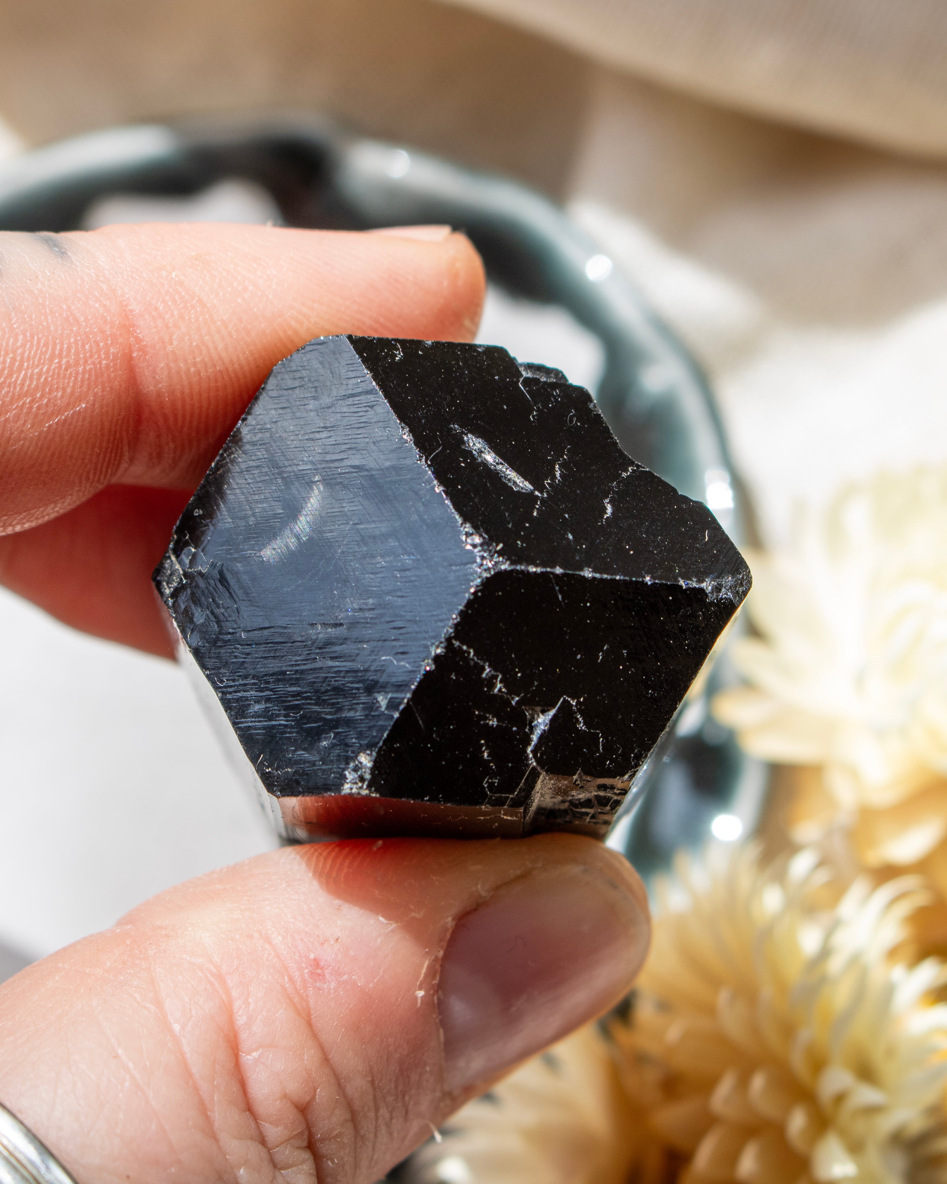 Hexagonal black crystal held in a hand with a blurred natural background