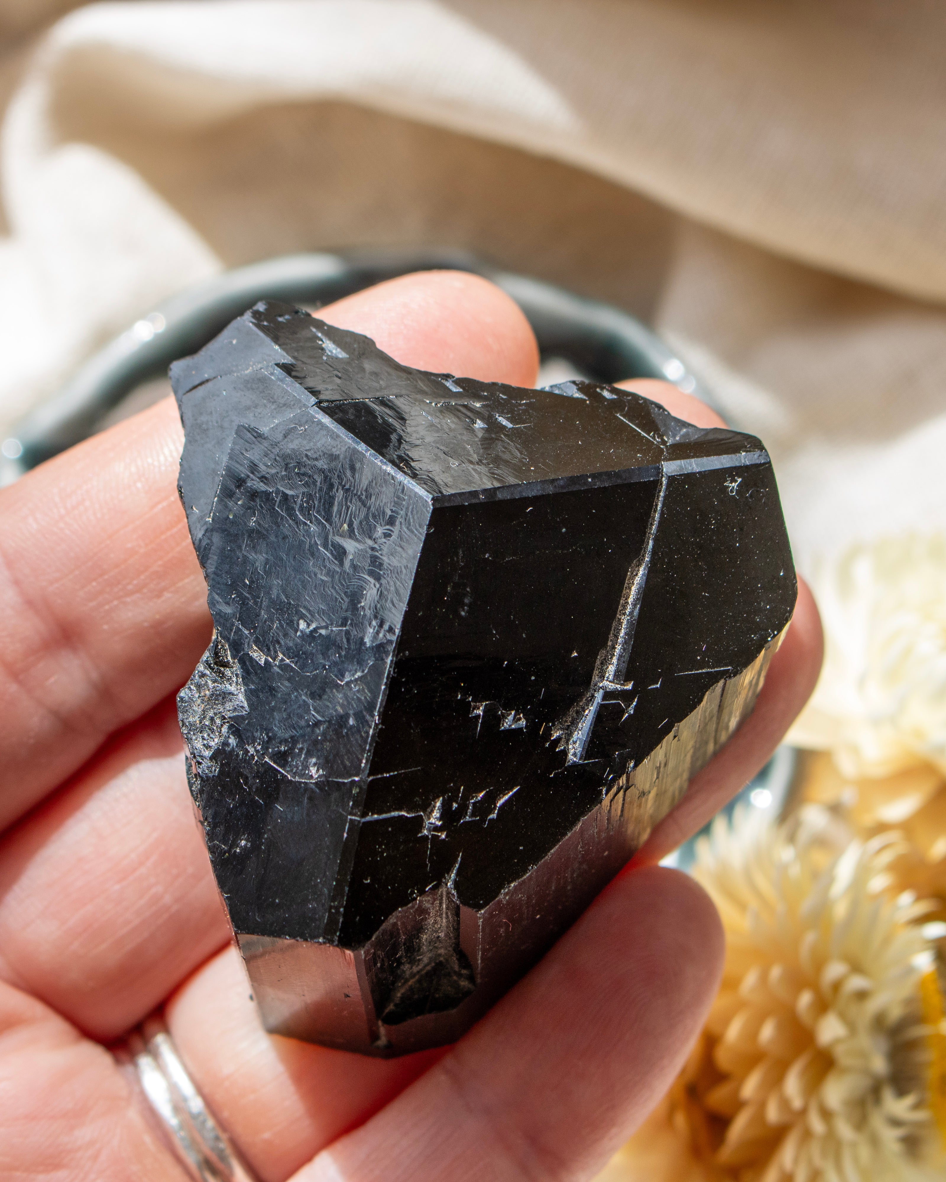 Hand holding a rough black crystal with a blurred natural background