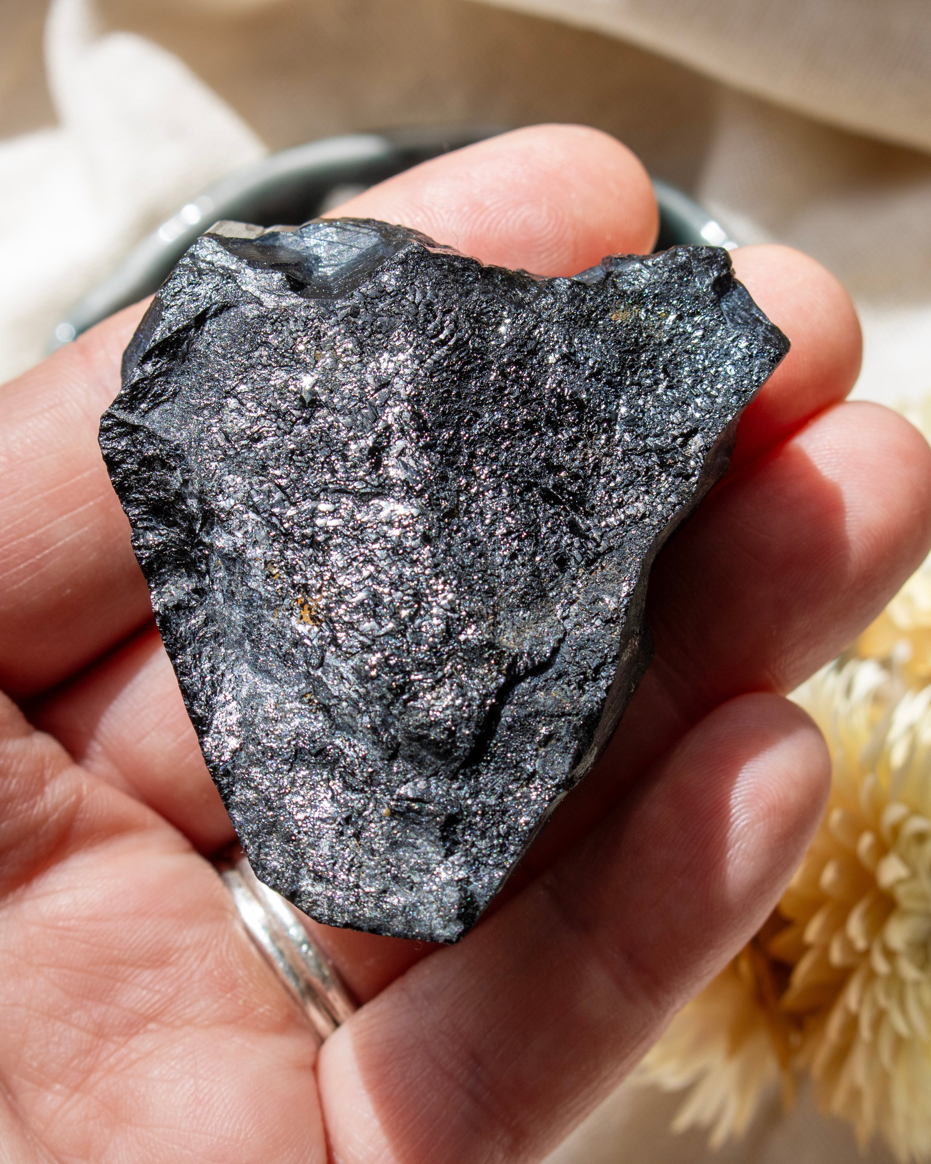 Hand holding a large dark shiny rock against a blurred natural background
