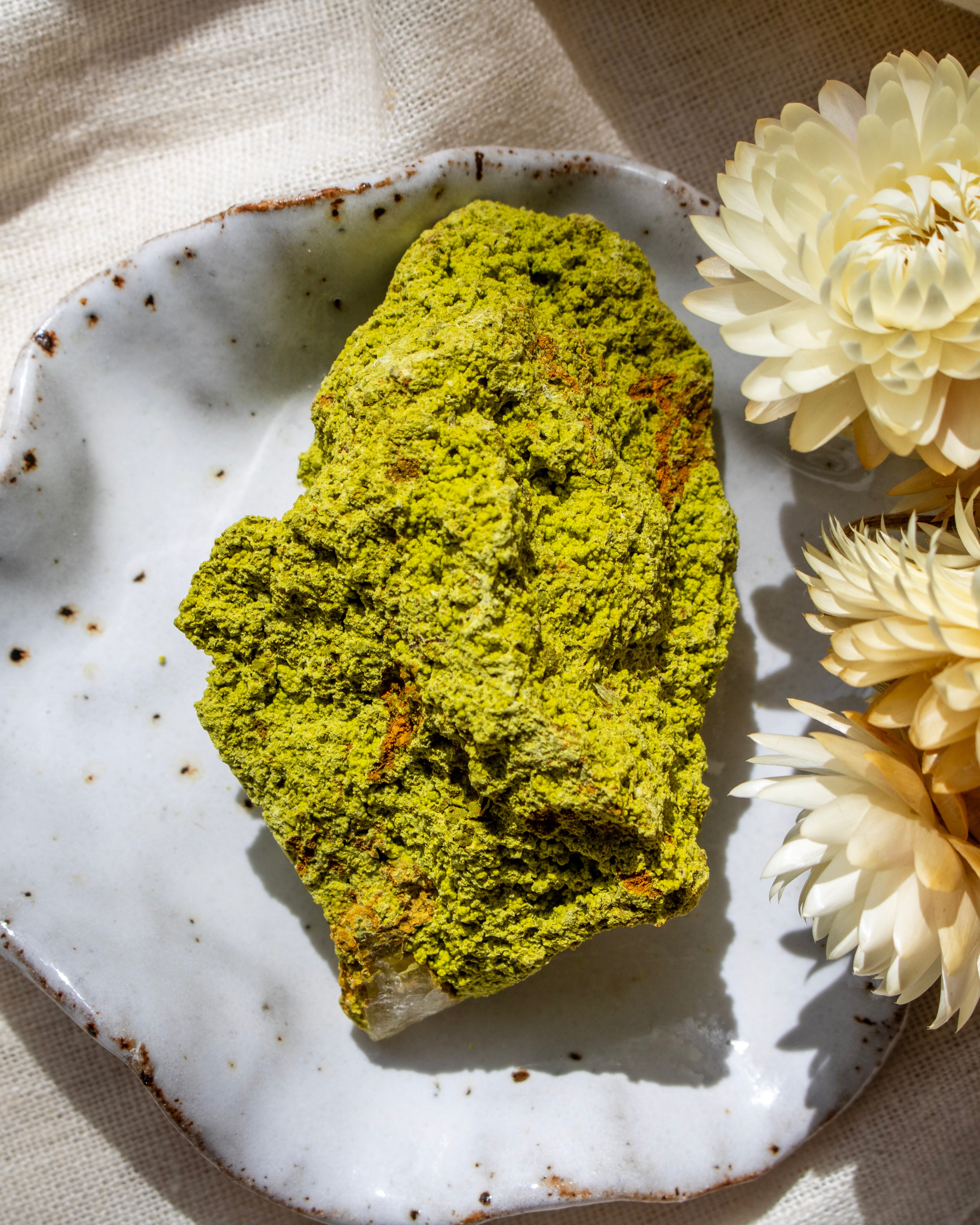 Green textured rock on a white ceramic plate with dried flowers