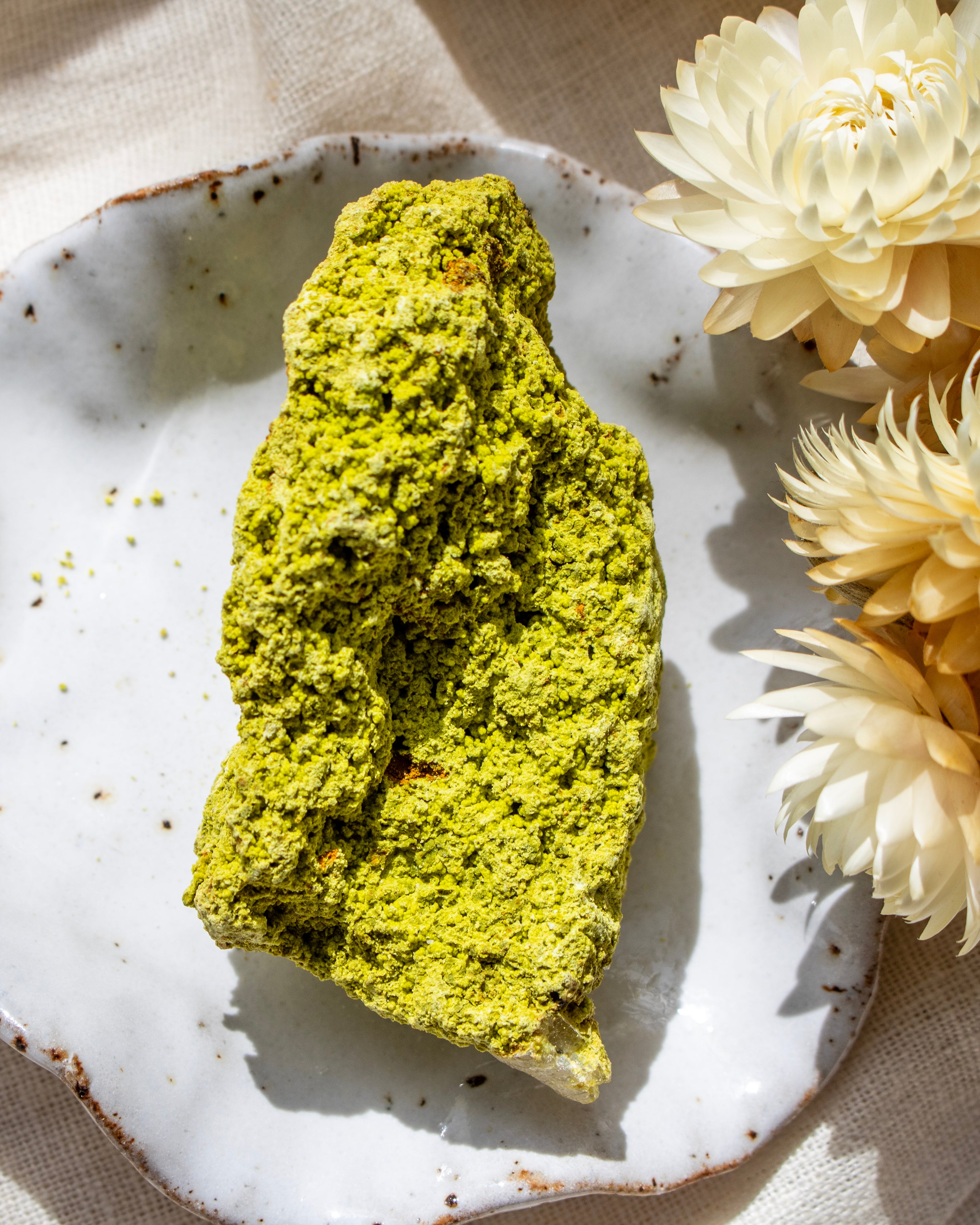 Green textured food item on a speckled ceramic plate with white flowers.