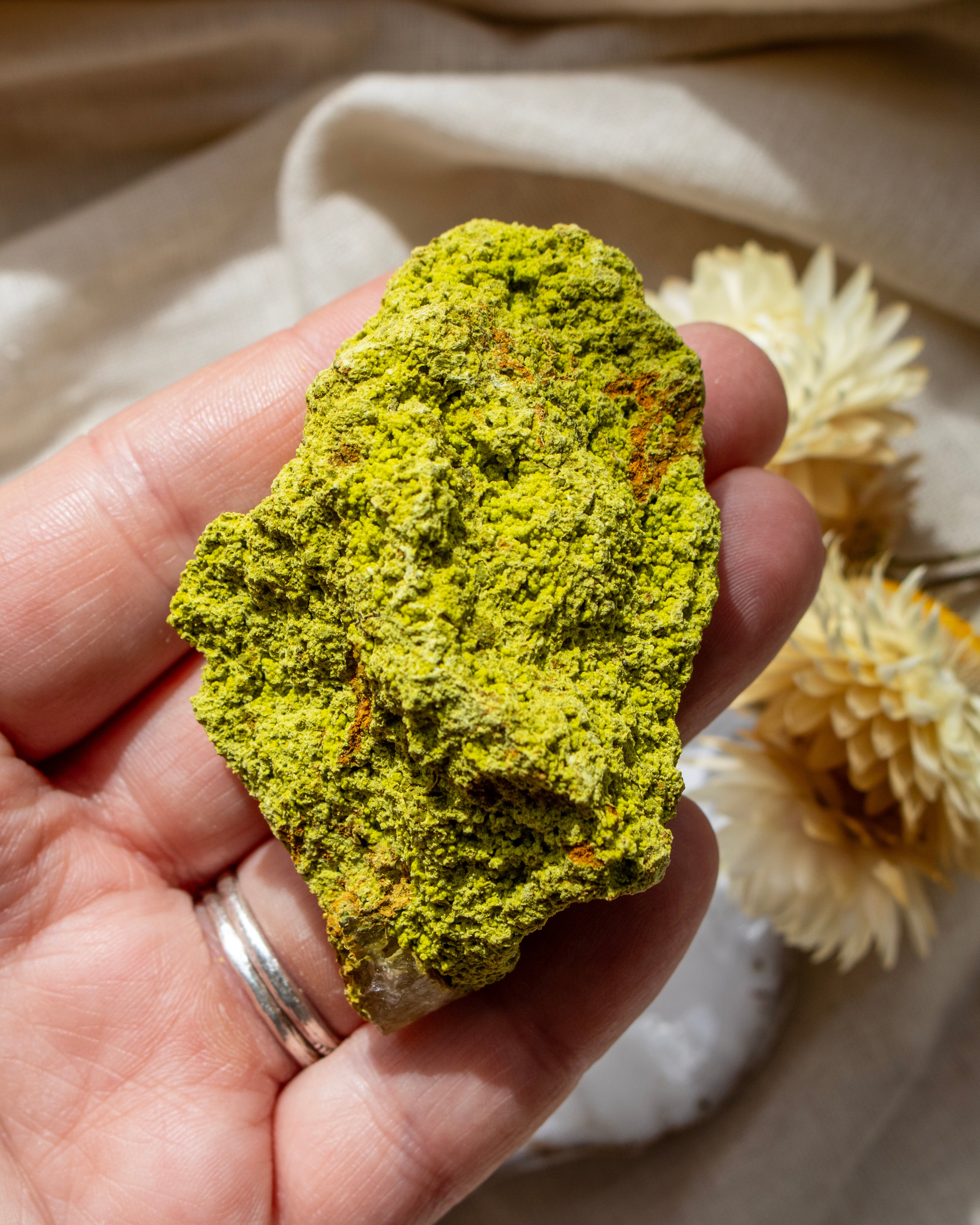 Hand holding a green rock with dried flowers in the background