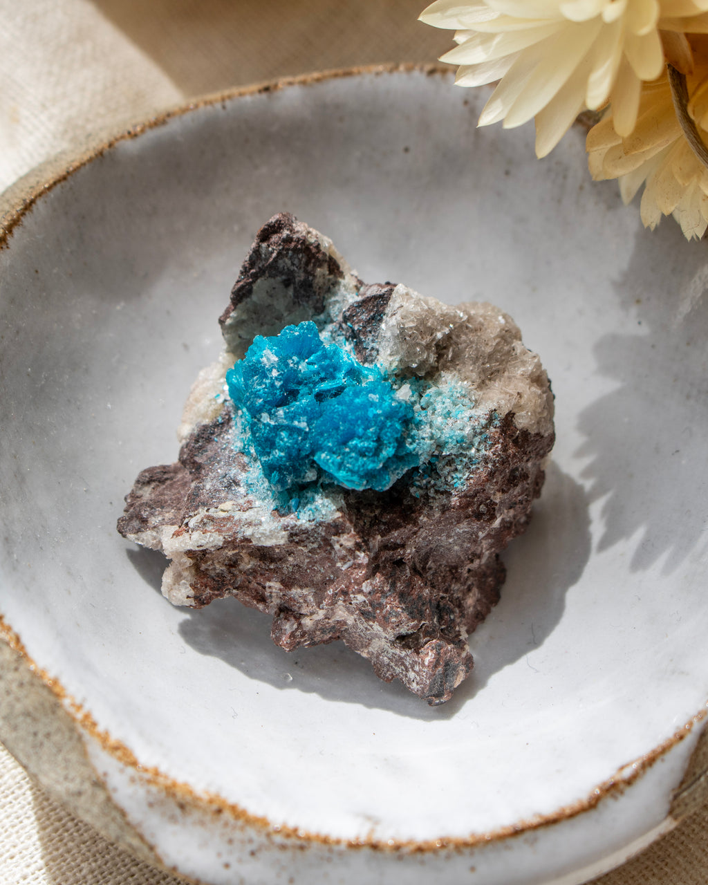 Mineral sample with blue crystal on a ceramic dish with a yellow flower