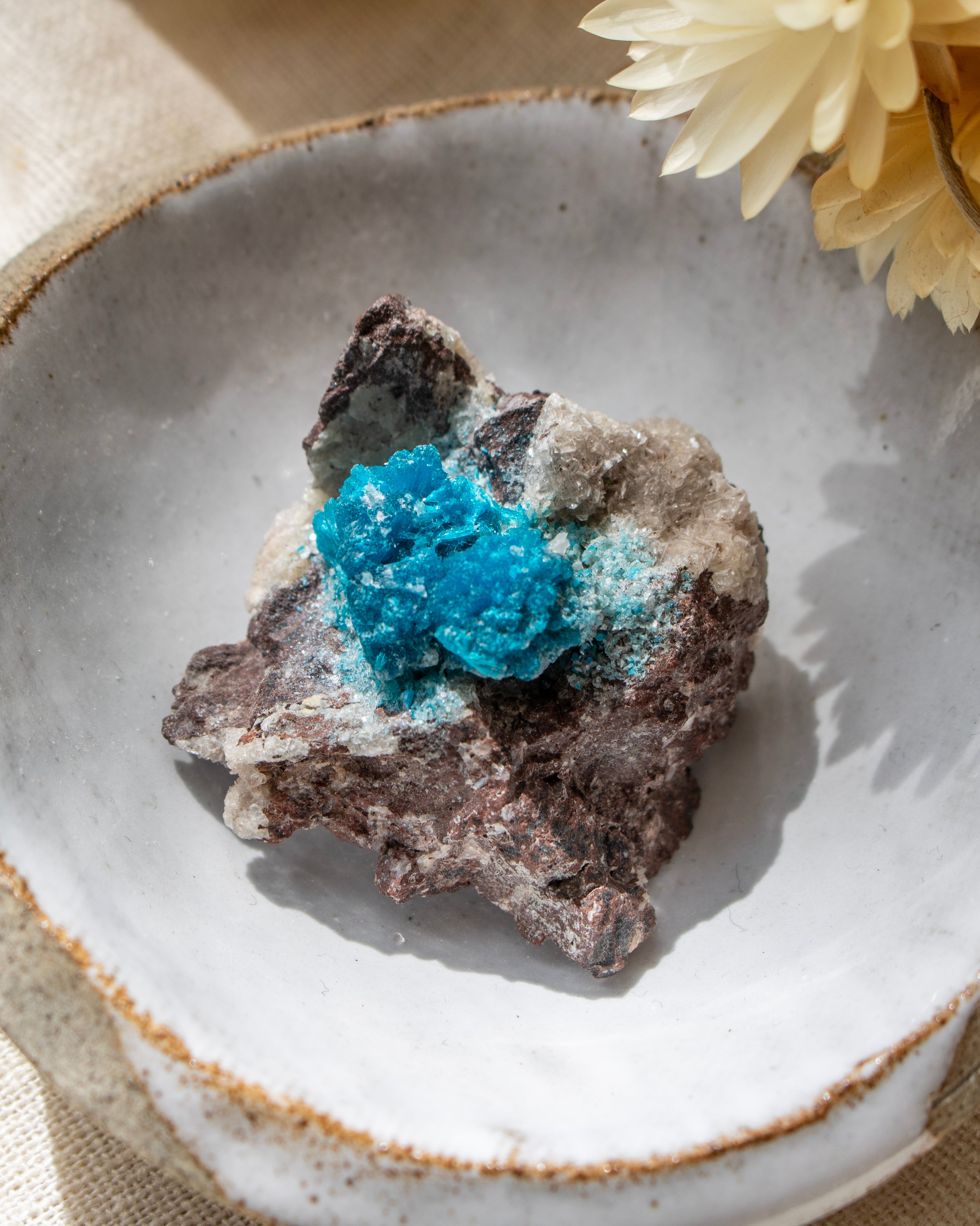 Mineral sample with blue crystal on a ceramic dish with a yellow flower