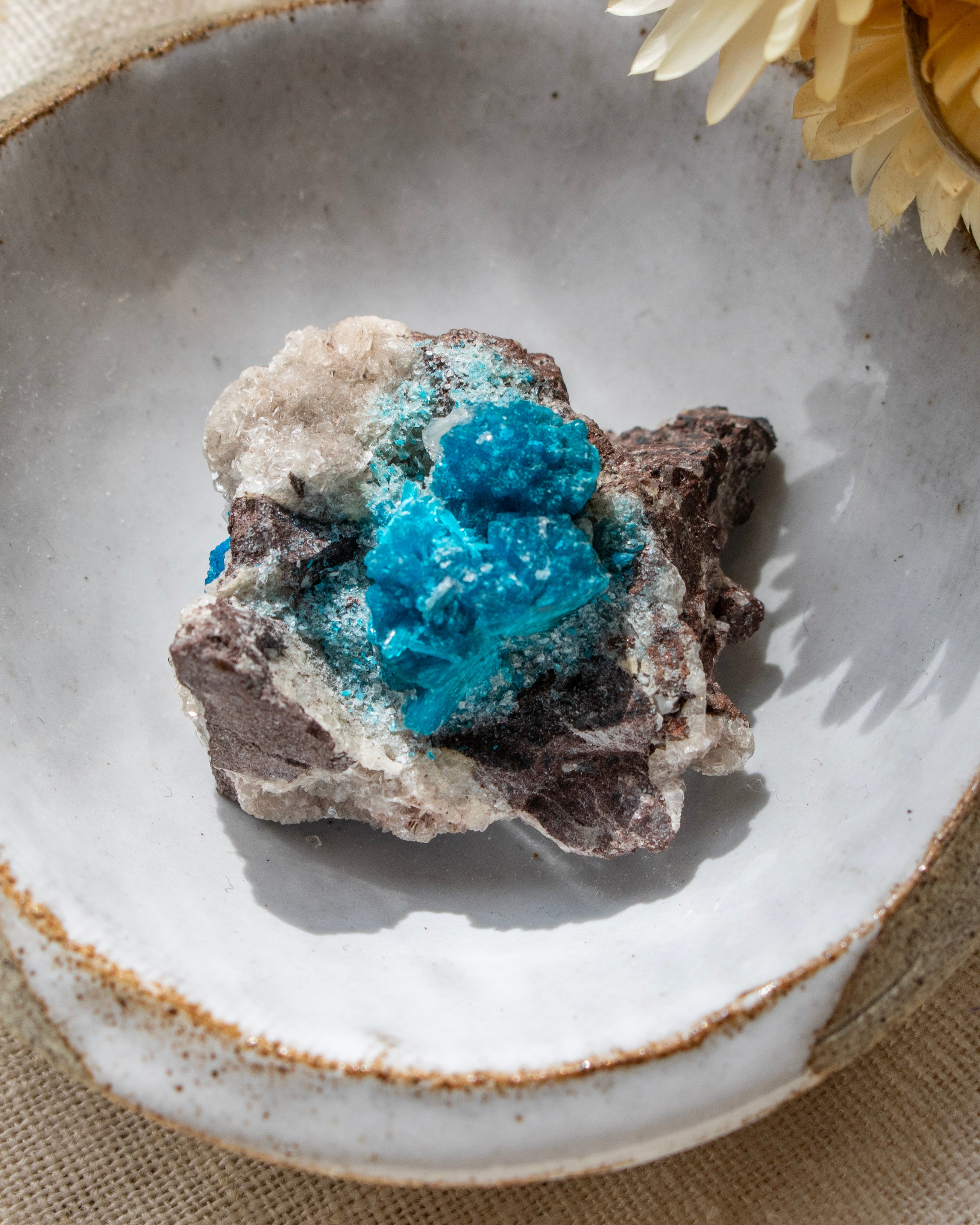 Mineral sample with blue crystals on a textured ceramic plate