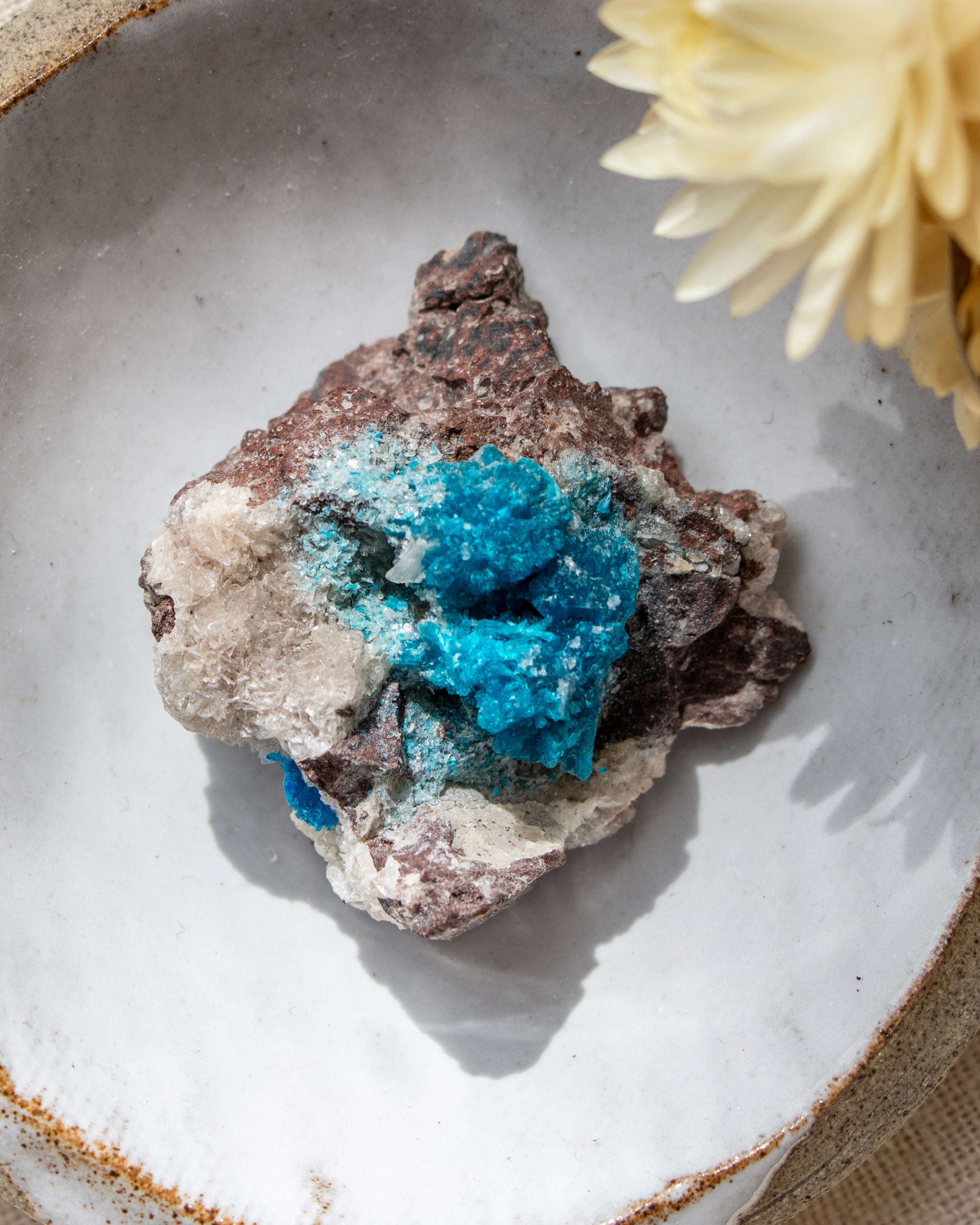 Mineral specimen with blue crystals on a stone surface next to a yellow flower