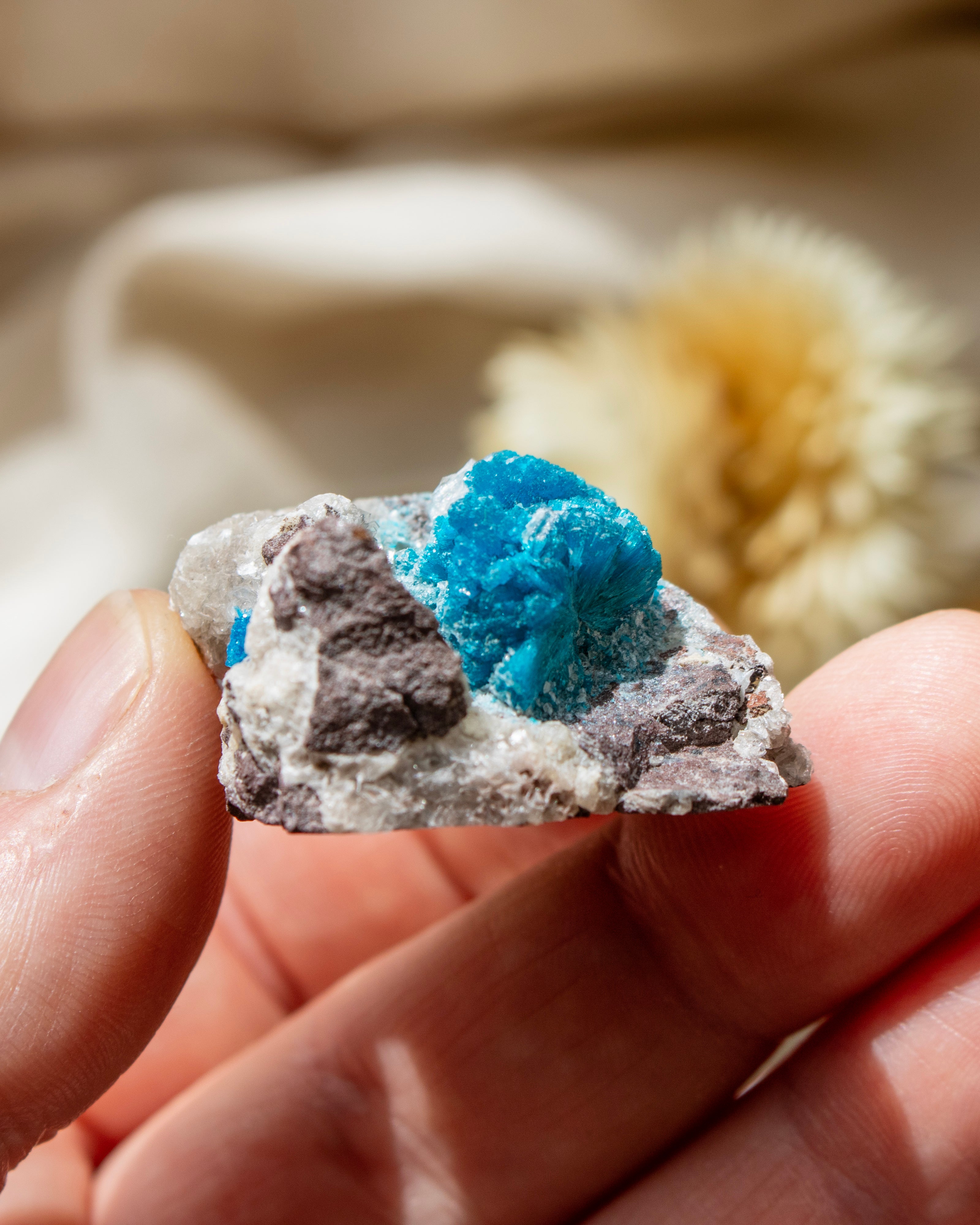 Hand holding a crystal with blue mineral on a neutral background