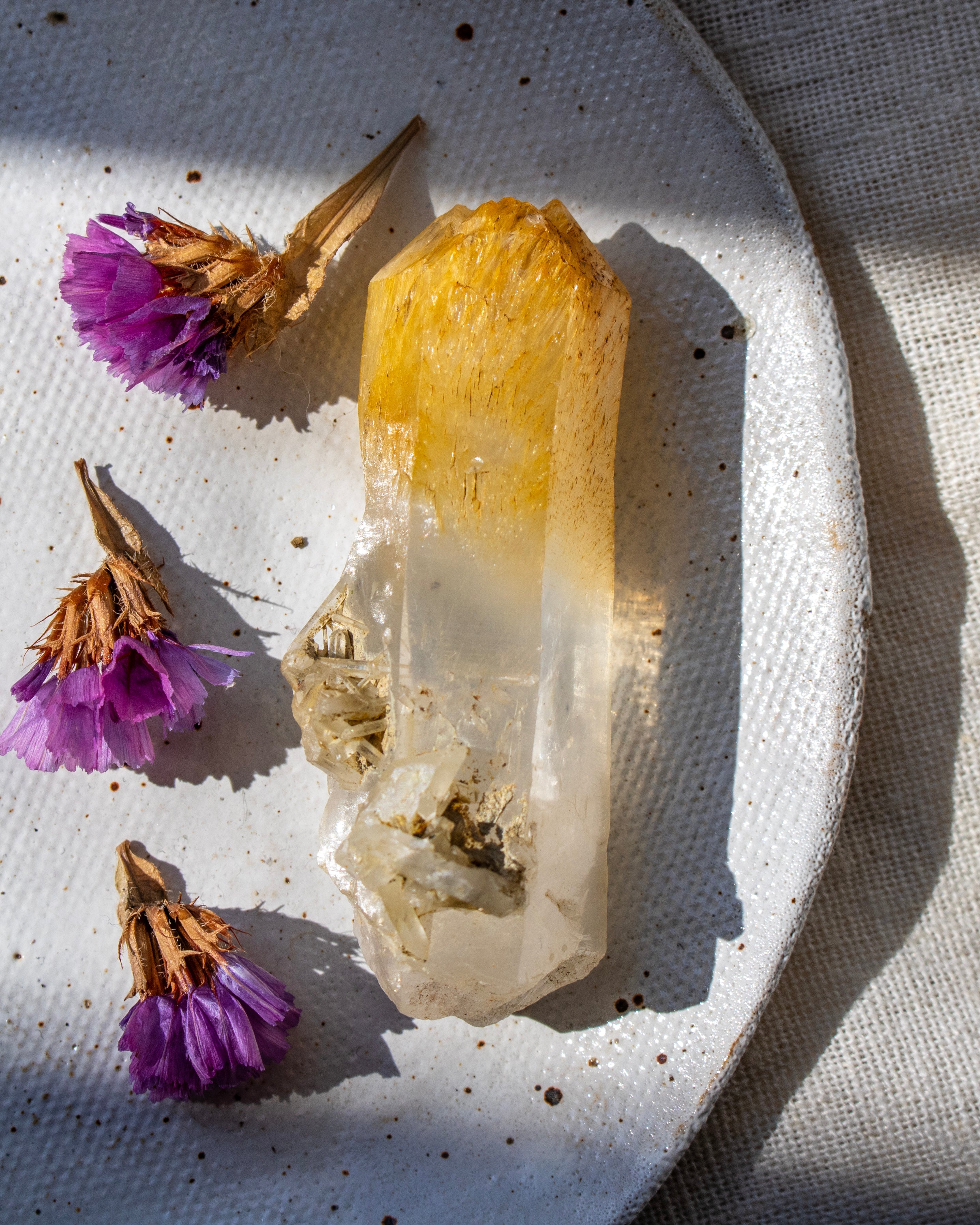 Crystal on a textured white plate with purple flowers and dried leaves
