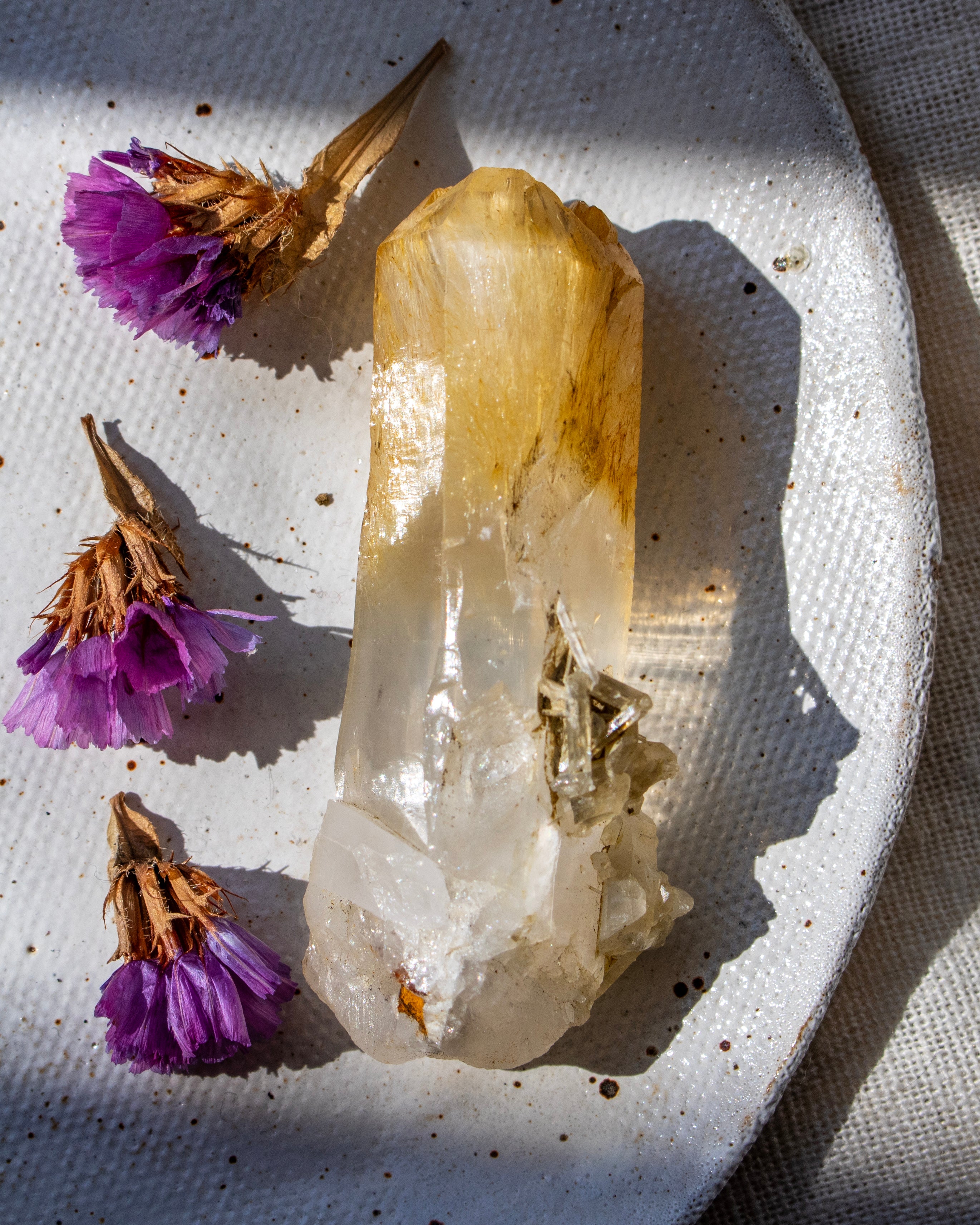 Crystal and dried purple flowers on a textured surface
