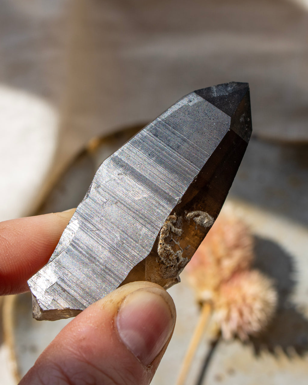Hand holding a crystal with a blurred natural background