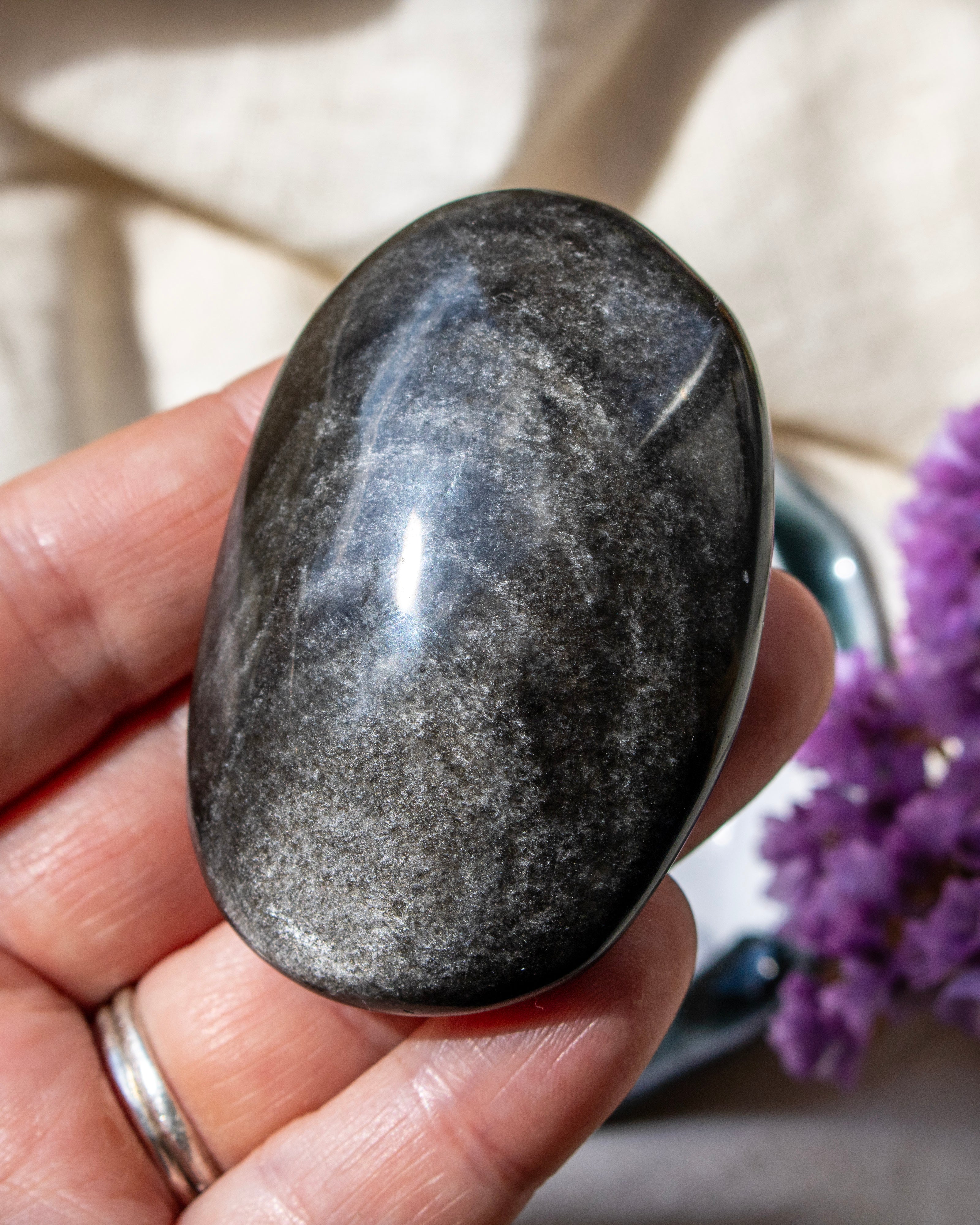 Hand holding a polished black stone with a blurred background featuring a plant.
