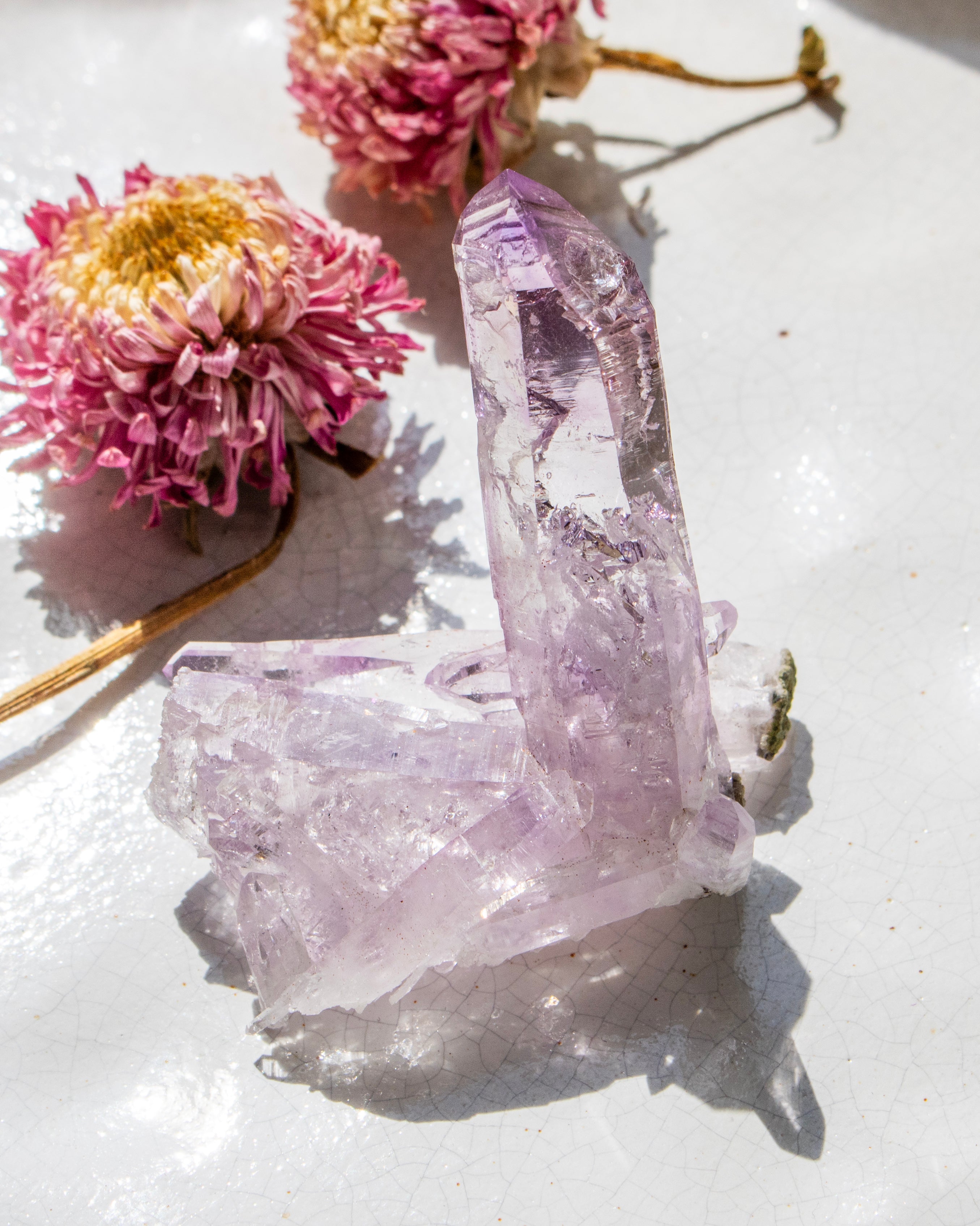 Amethyst crystal with pink flowers on a white surface