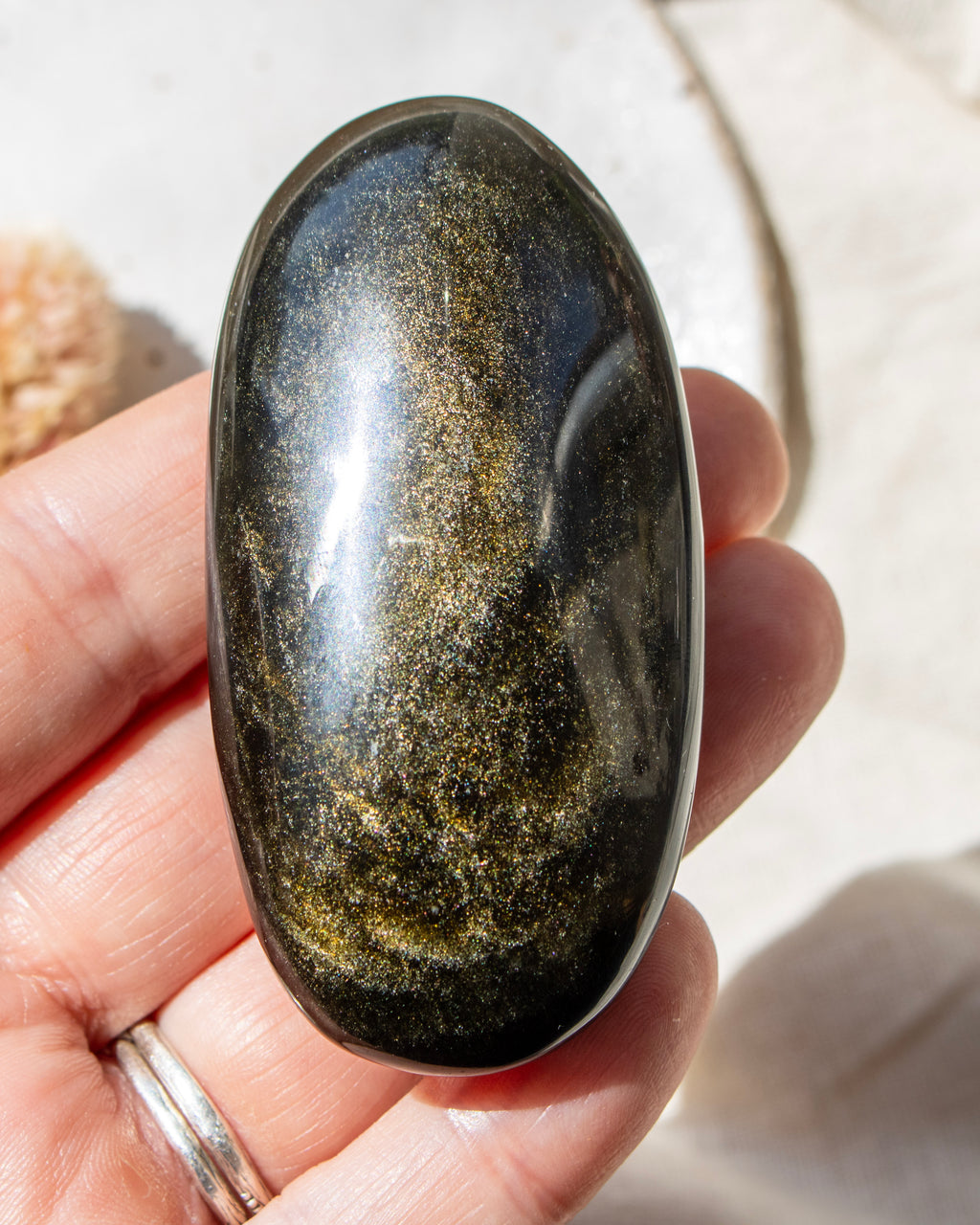Oval-shaped stone held in a hand with a blurred natural background
