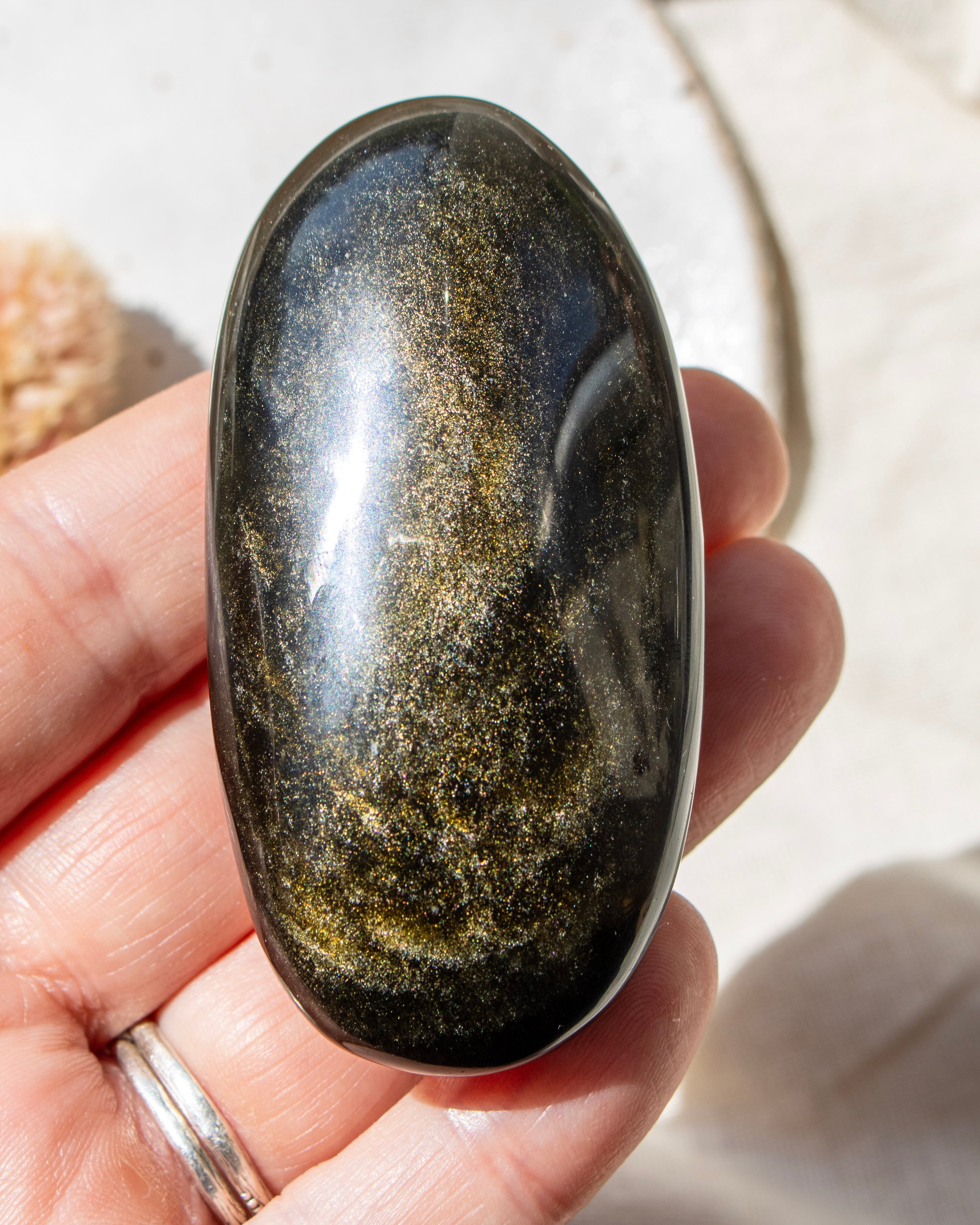 Oval-shaped stone held in a hand with a blurred natural background