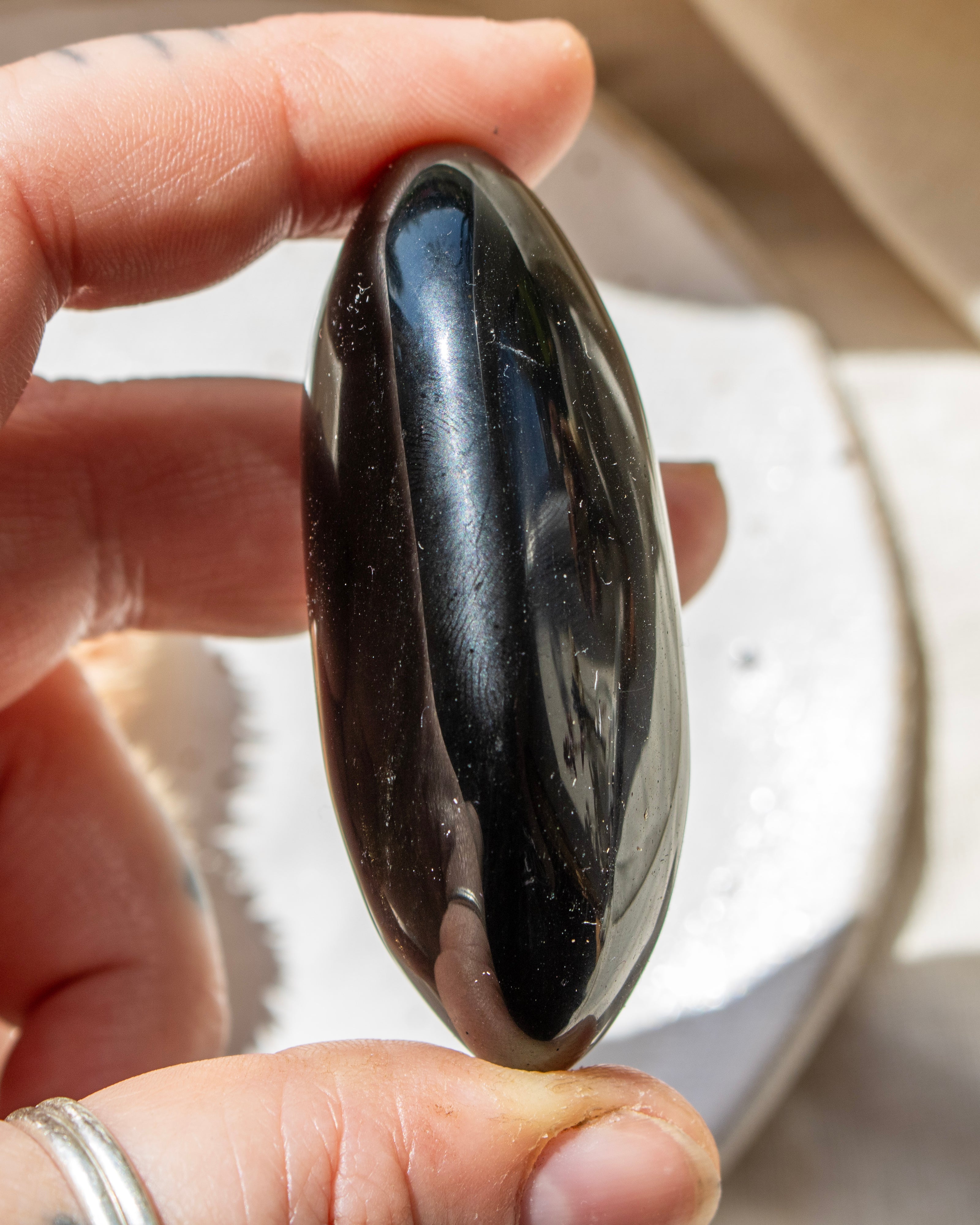 Hand holding a polished black stone against a neutral background